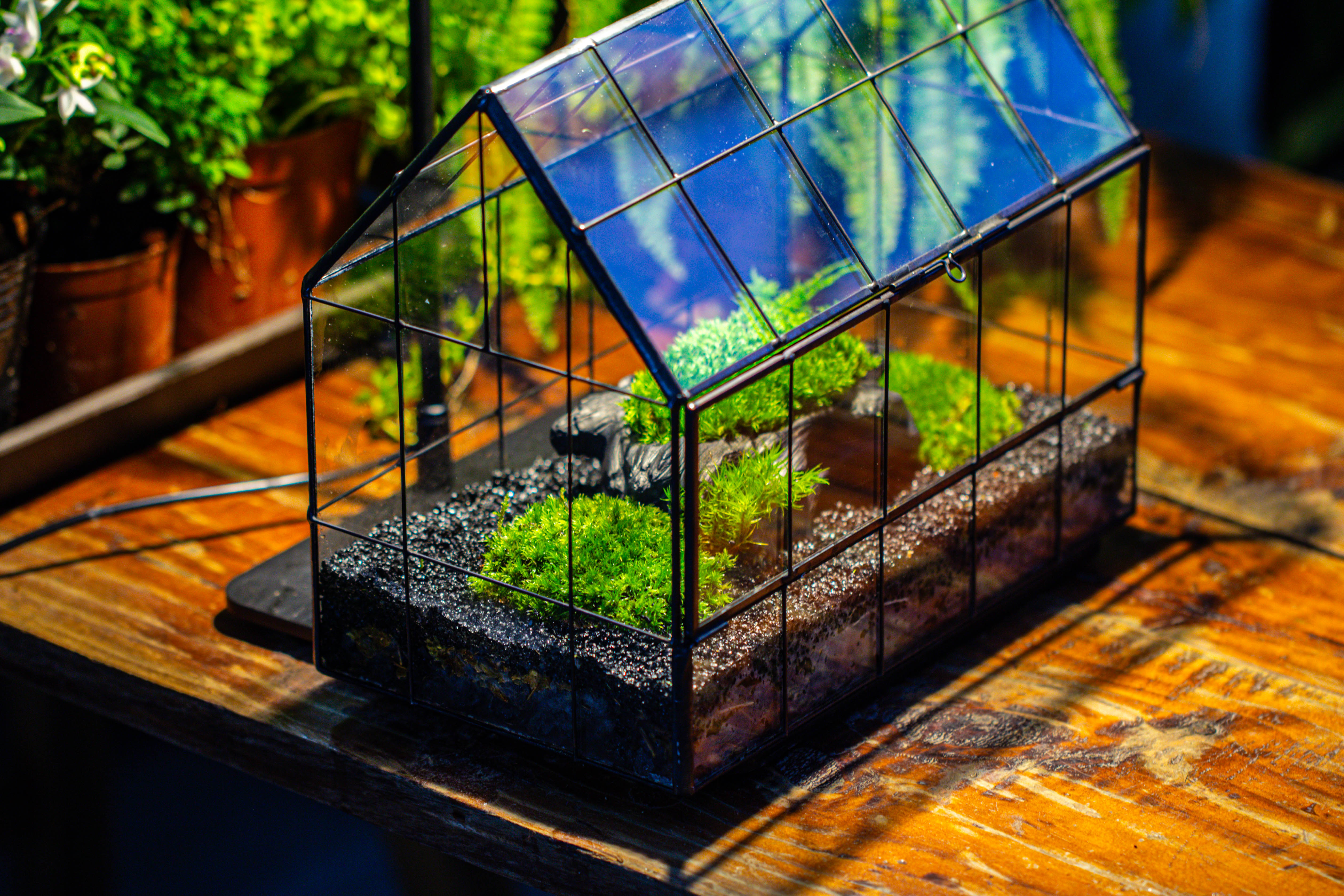 Black Theme Moss and  Black Tree Stump Vintage Greenhgouse  Tin and Glass Terrarium Kit - NCYPgarden