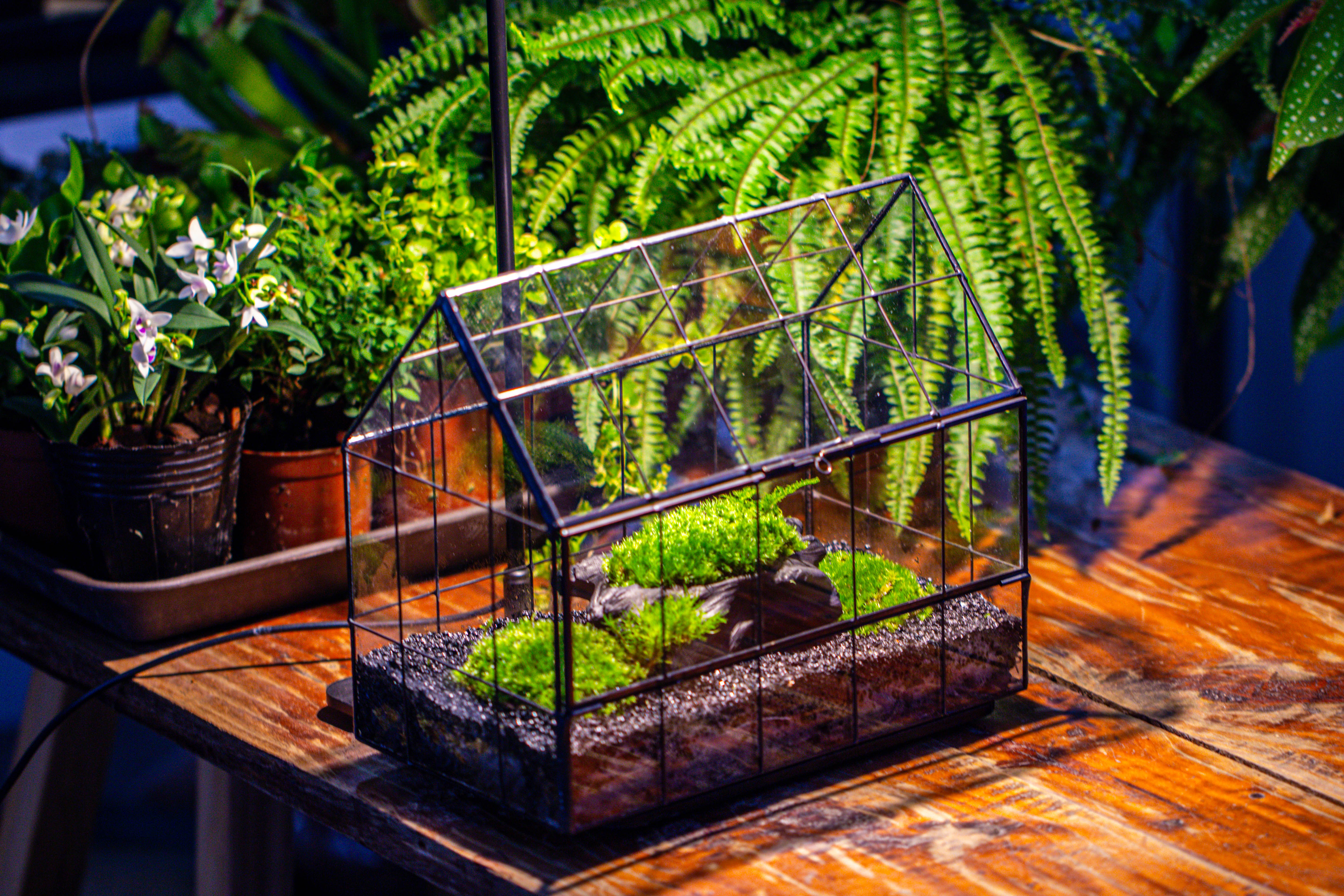 Handmade Glass Terrarium with LED Grow Light Set, Side Door Closed Geometric GreenHouse with Base and Light Set - NCYPgarden