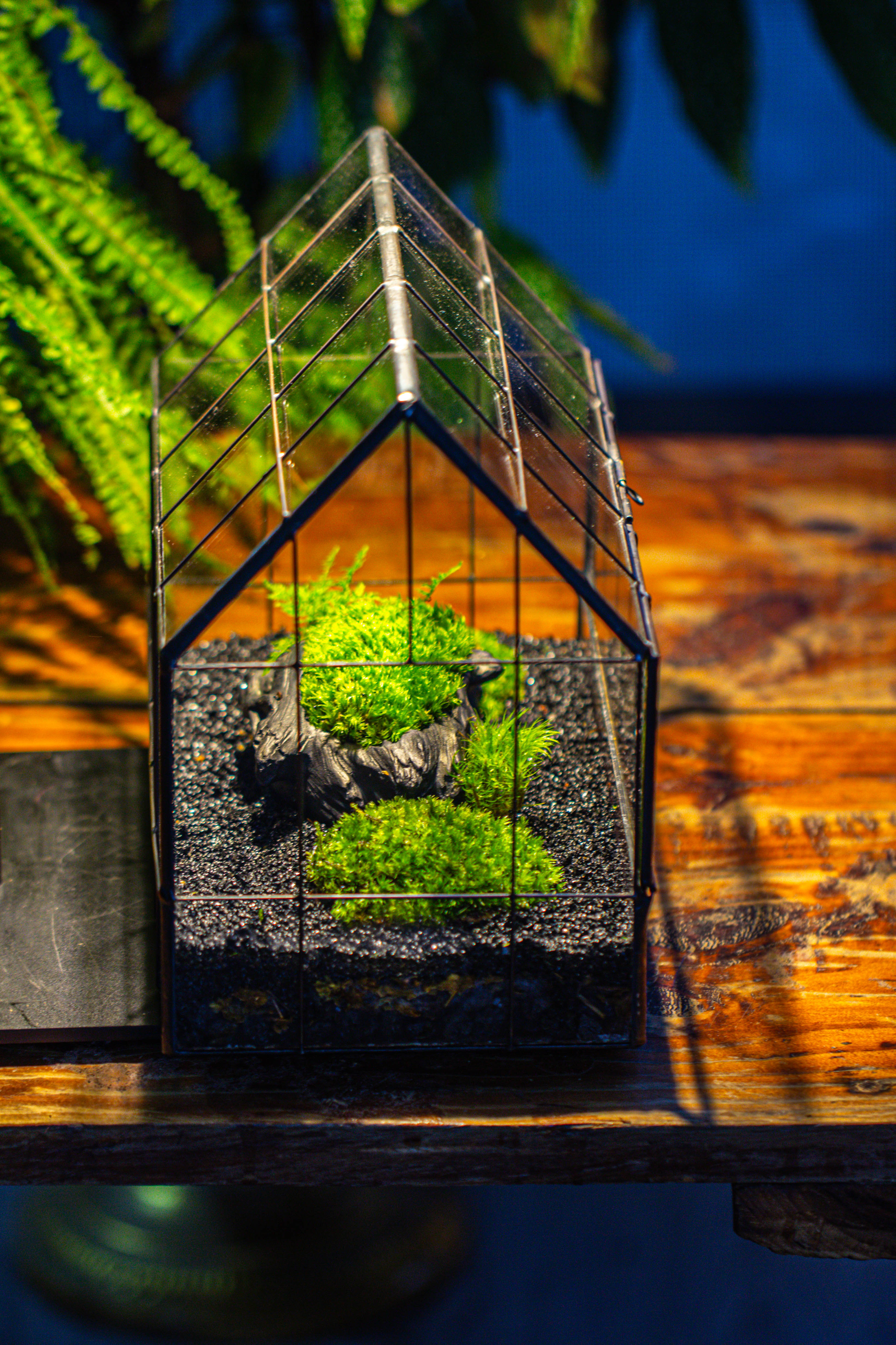 Handmade Glass Terrarium with LED Grow Light Set, Side Door Closed Geometric GreenHouse with Base and Light Set - NCYPgarden