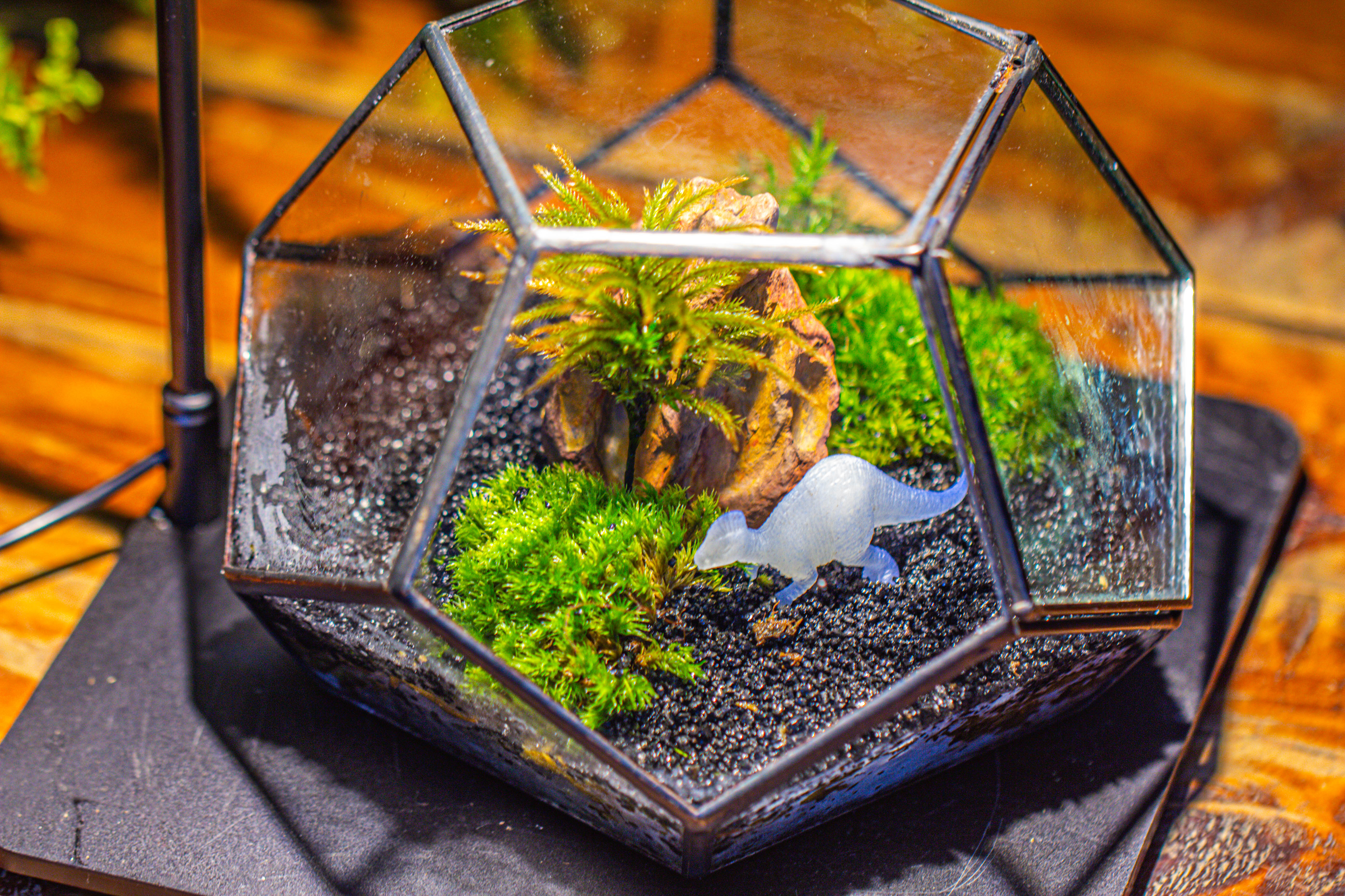 handmade geometric half ball, pentagon, close terrarium, with door for moss - NCYPgarden