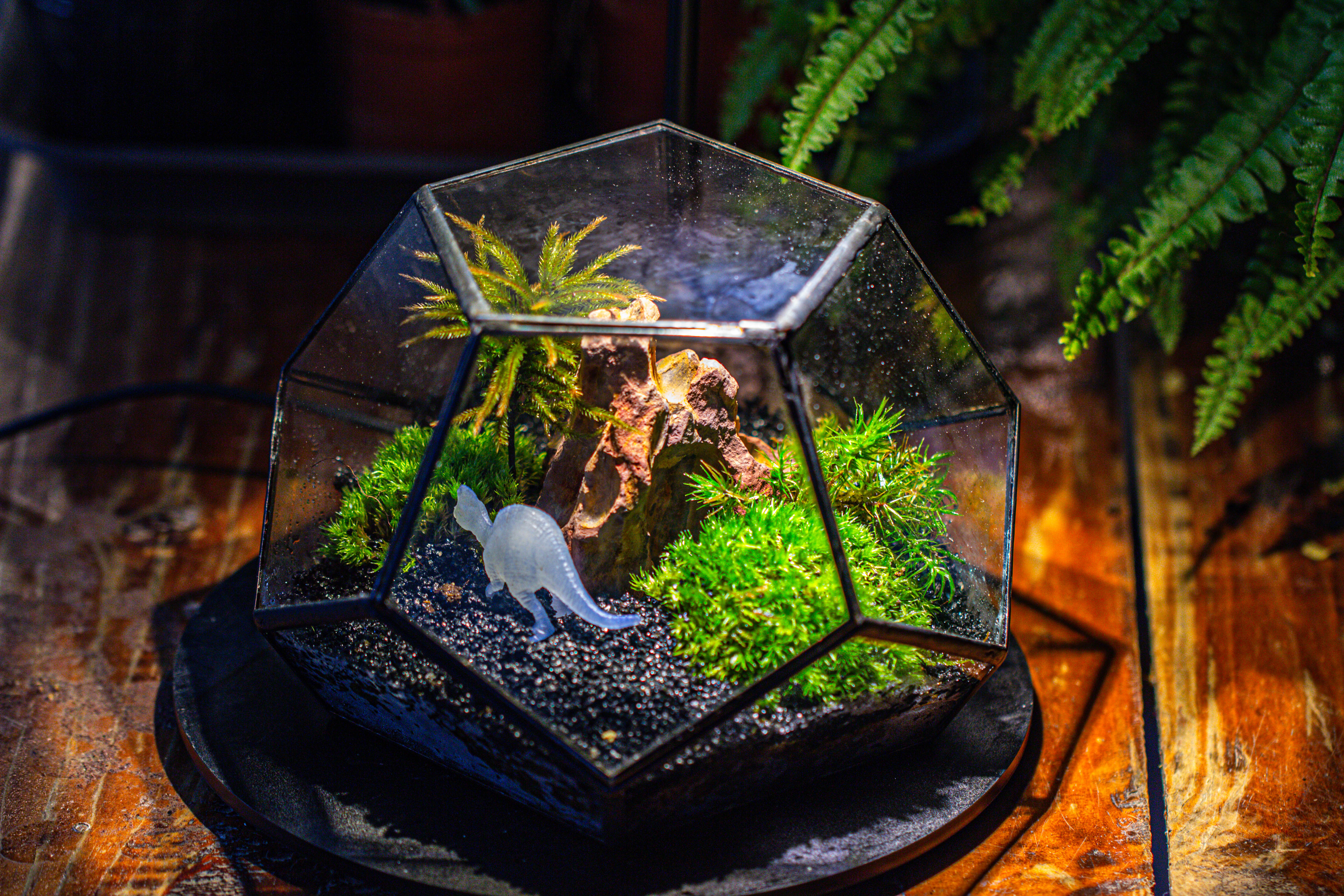 handmade geometric half ball, pentagon, close terrarium, with door for moss - NCYPgarden