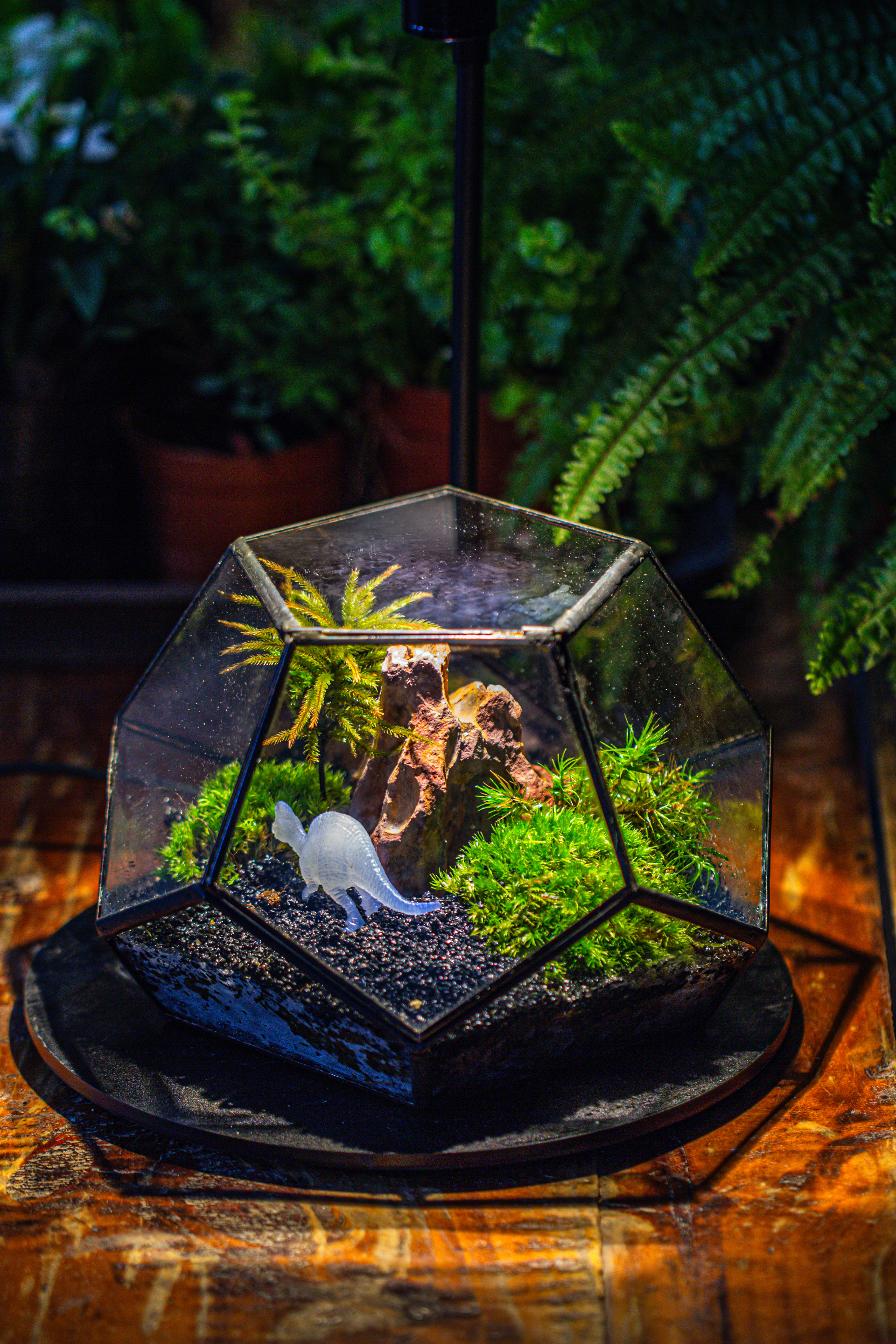 handmade geometric half ball, pentagon, close terrarium, with door for moss - NCYPgarden