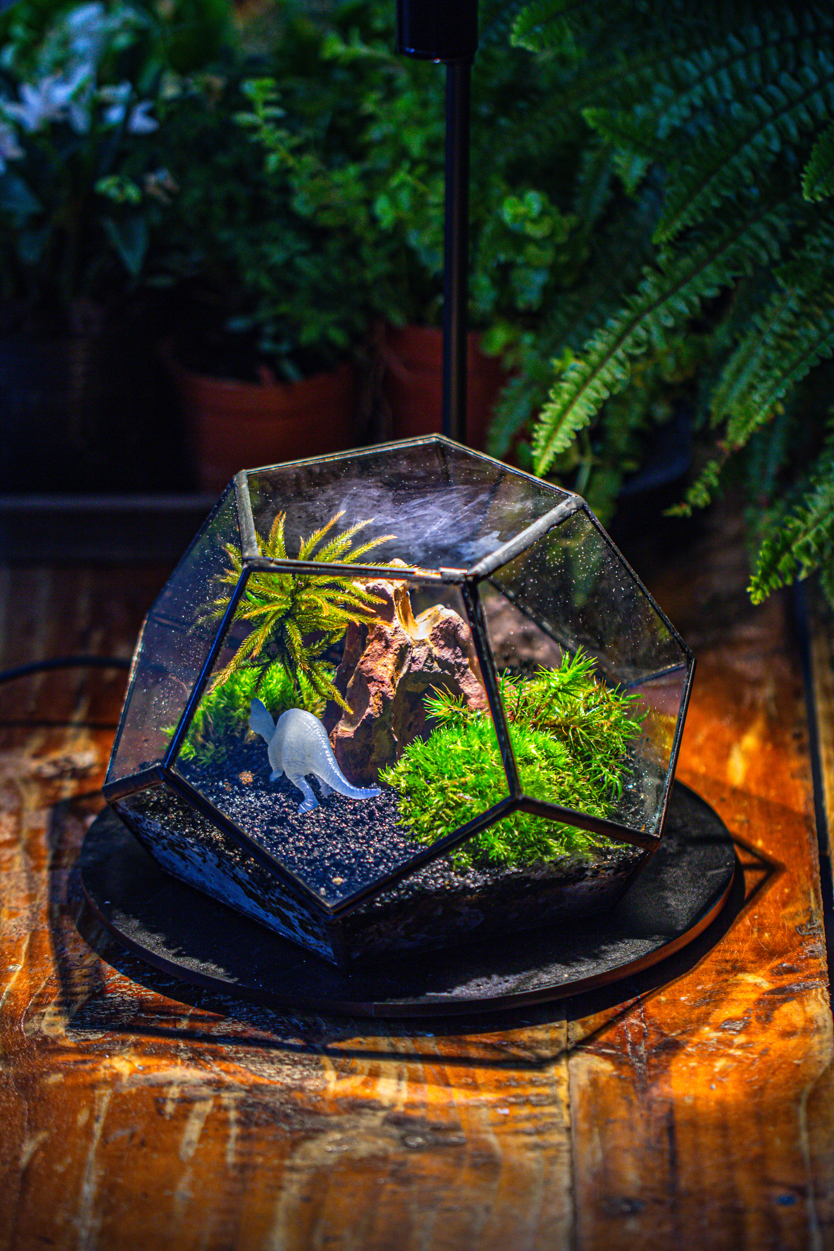 handmade geometric half ball, pentagon, close terrarium, with door for moss - NCYPgarden