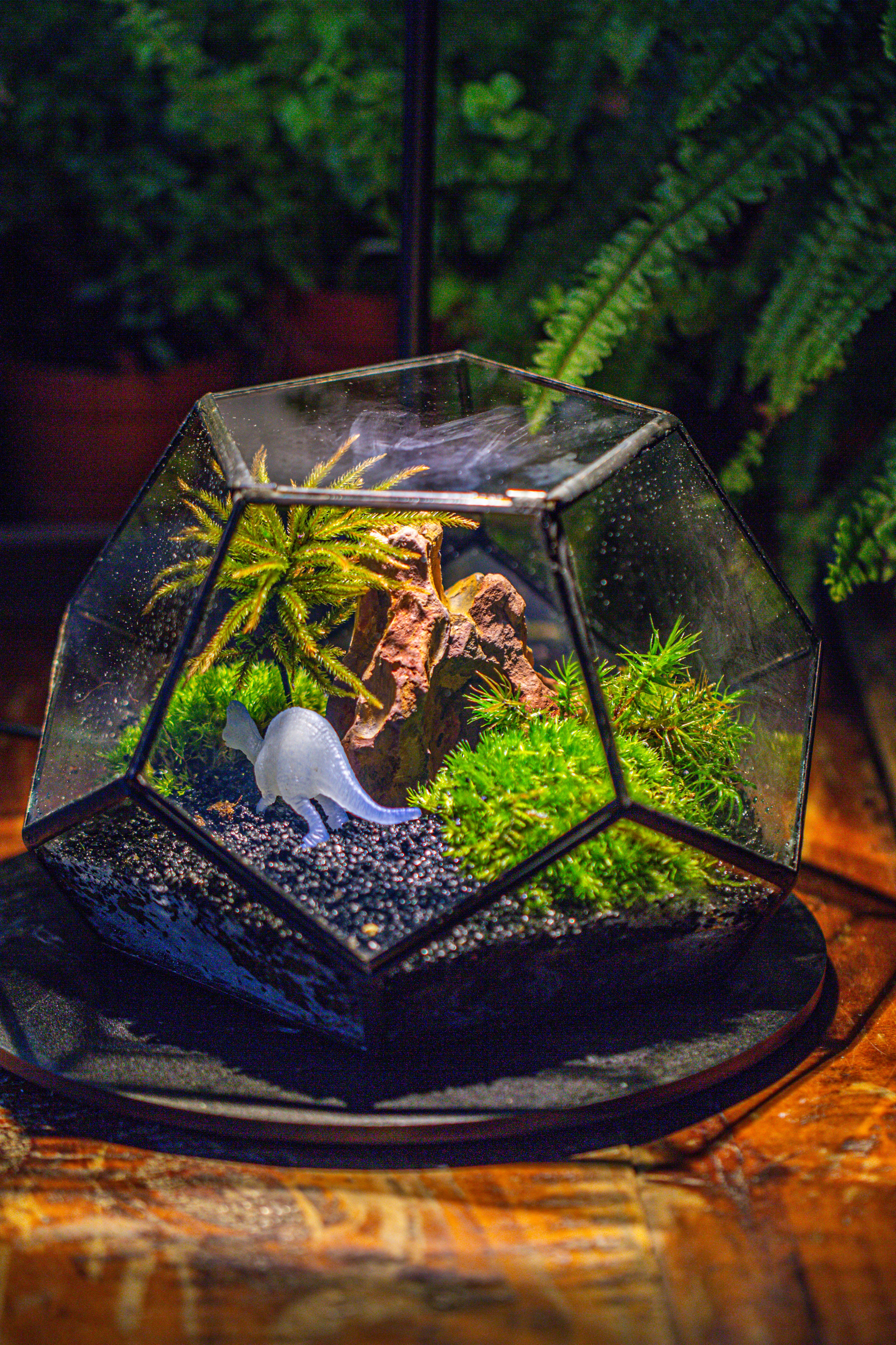 handmade geometric half ball, pentagon, close terrarium, with door for moss - NCYPgarden
