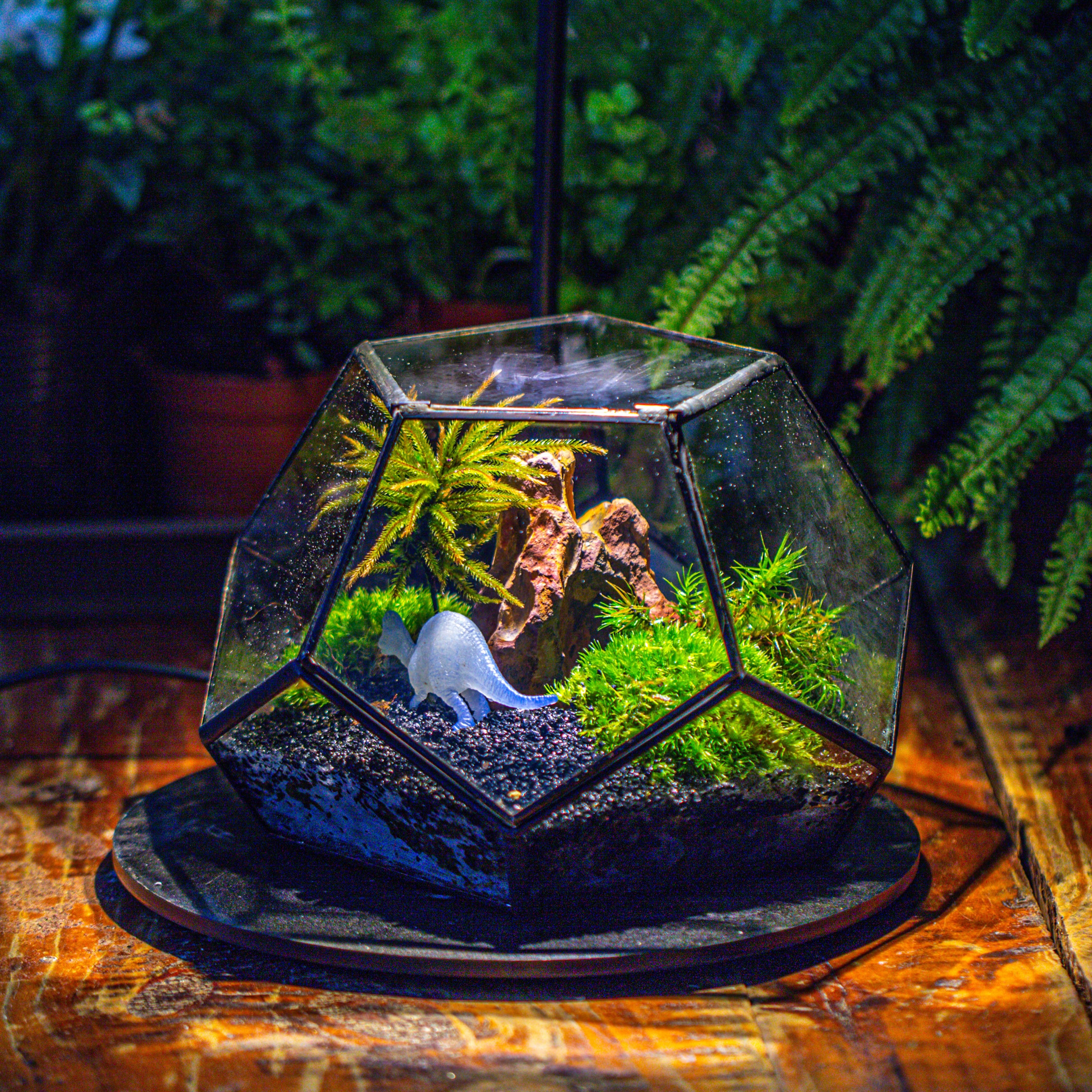 handmade geometric half ball, pentagon, close terrarium, with door for moss - NCYPgarden