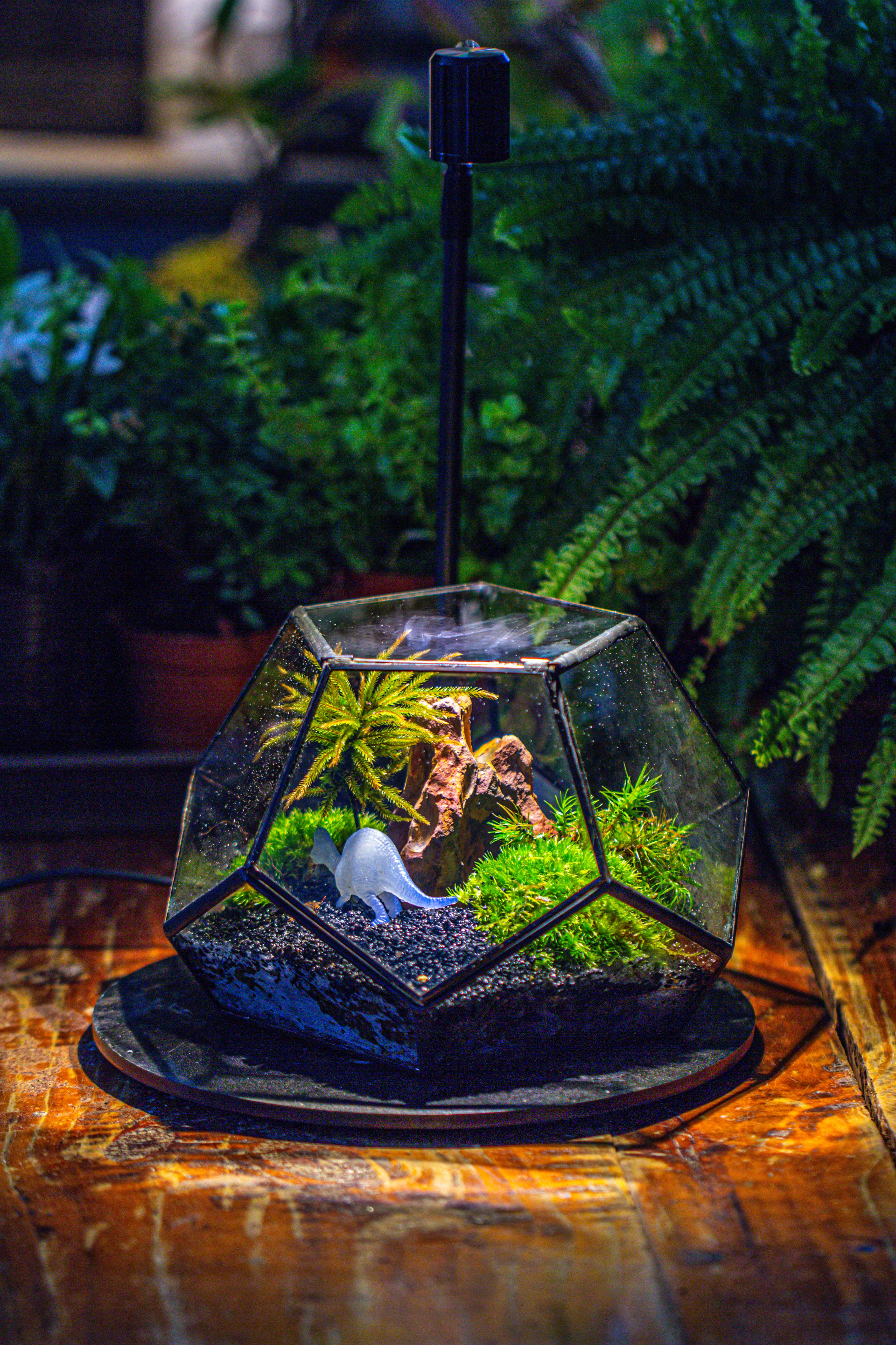 handmade geometric half ball, pentagon, close terrarium, with door for moss - NCYPgarden