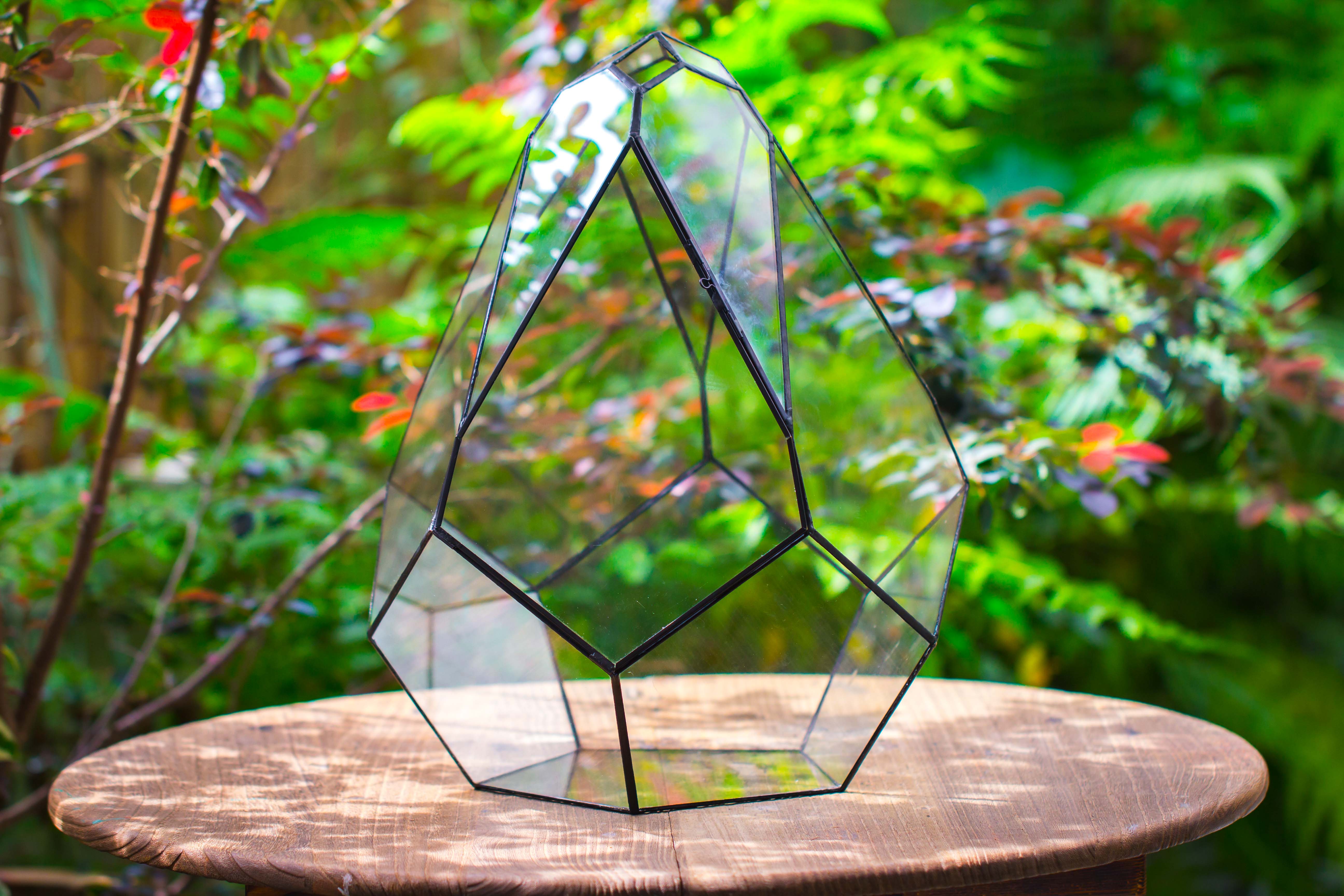 16" Large Teardrop Geometric Terrarium, close - NCYPgarden