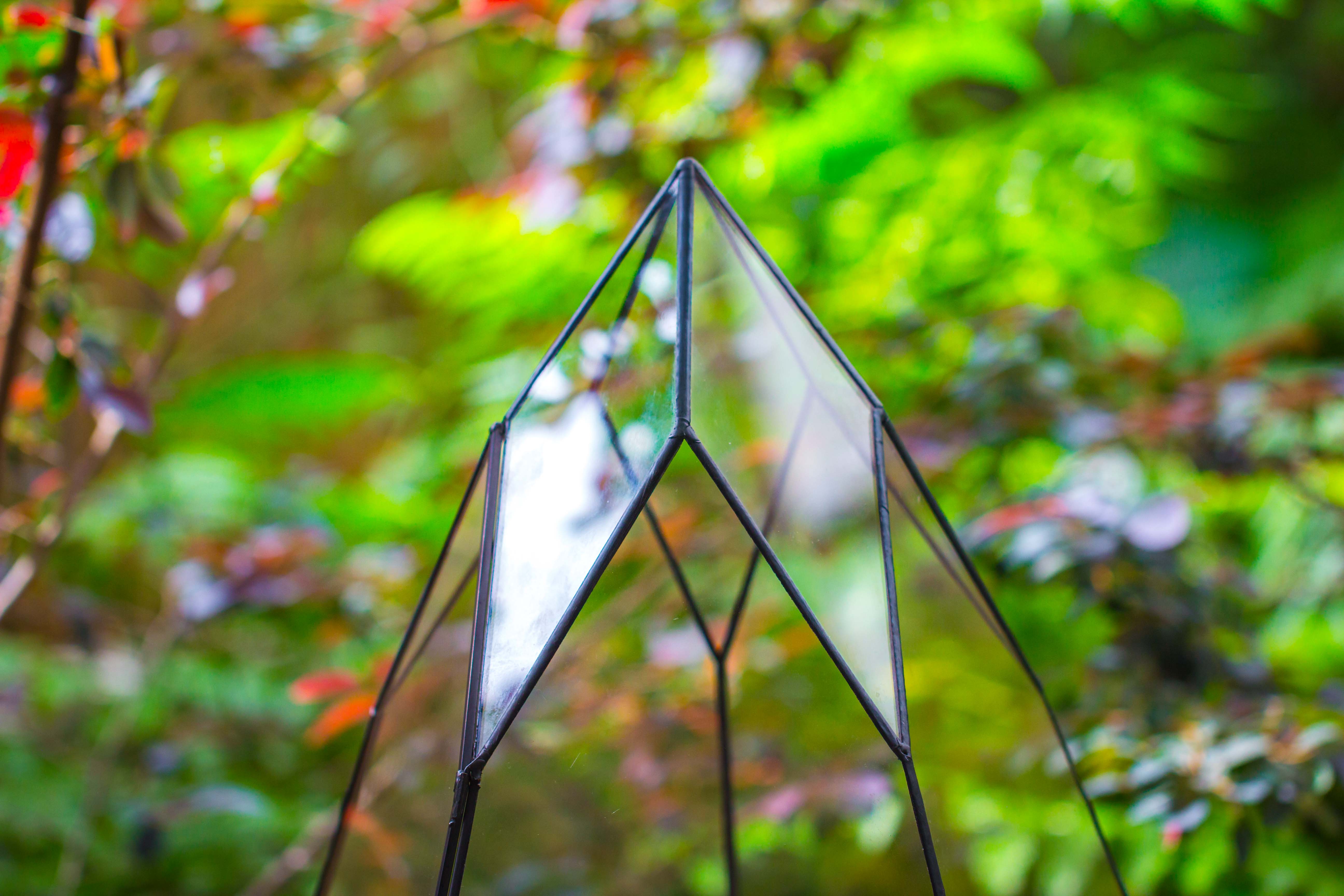 Large 16" tall and wide teardrop tin and glass terrarium, close, with door - NCYPgarden