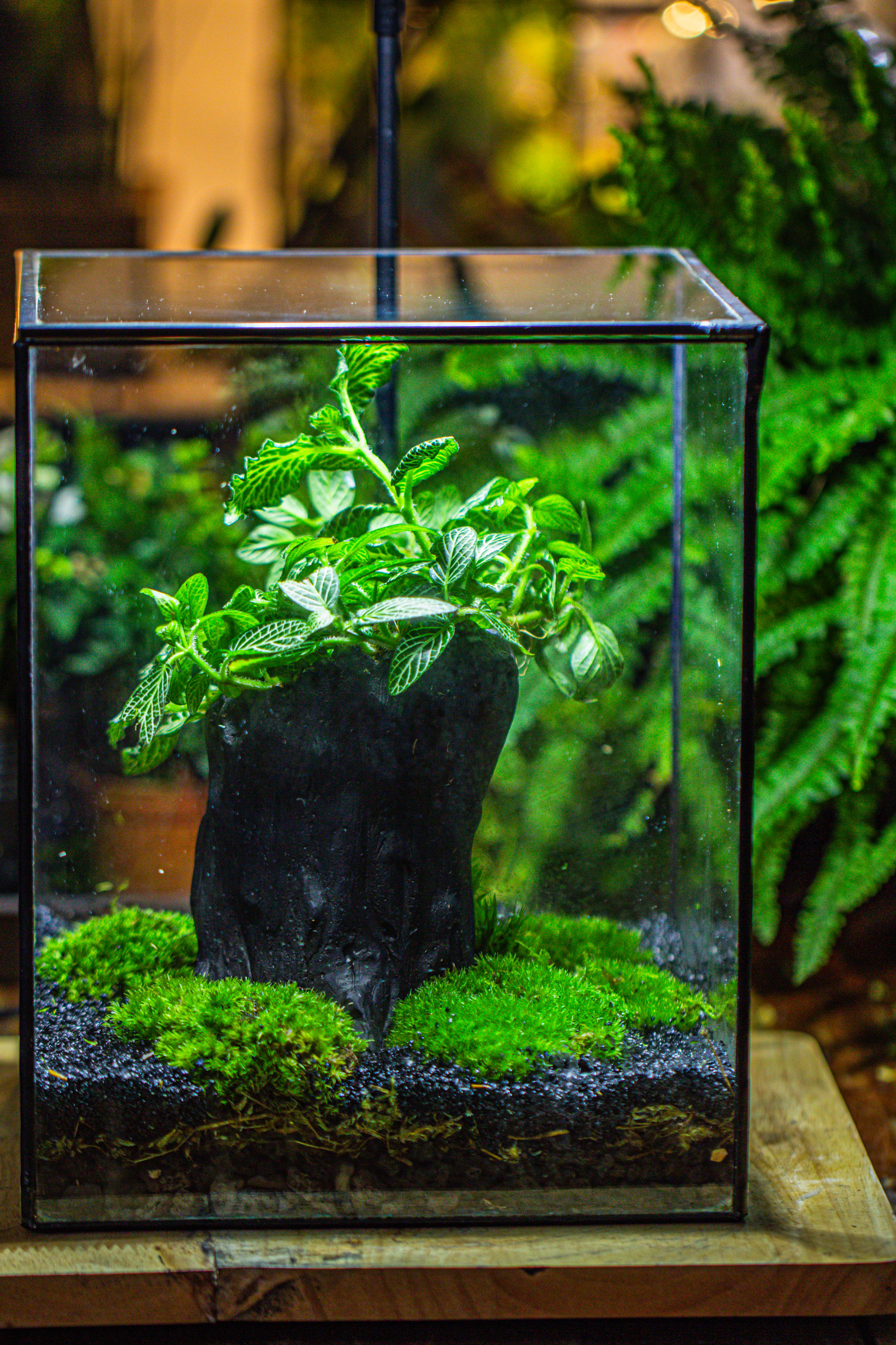 竖版大长方形 上开盖 - NCYPgarden