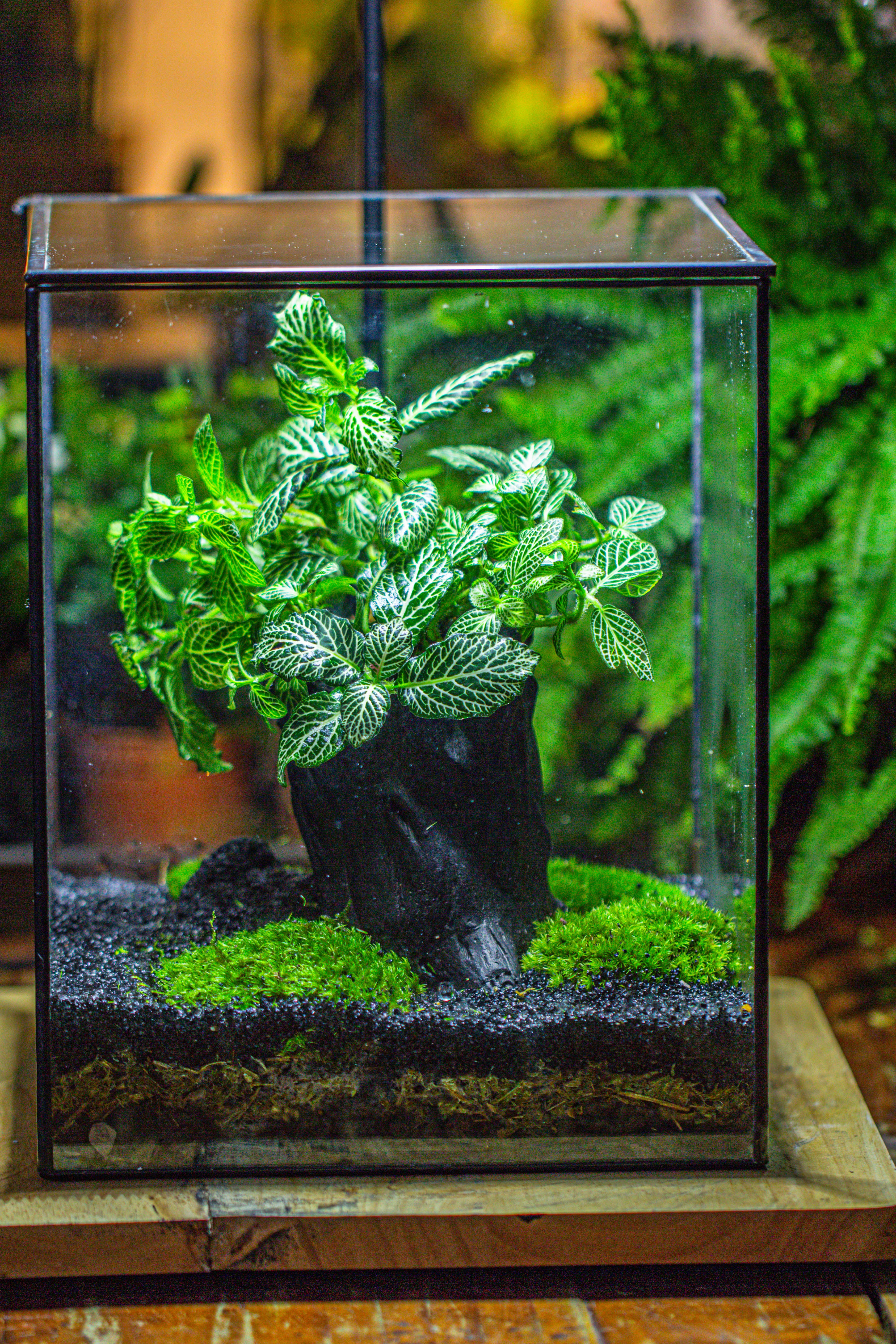 竖版大长方形 上开盖 - NCYPgarden