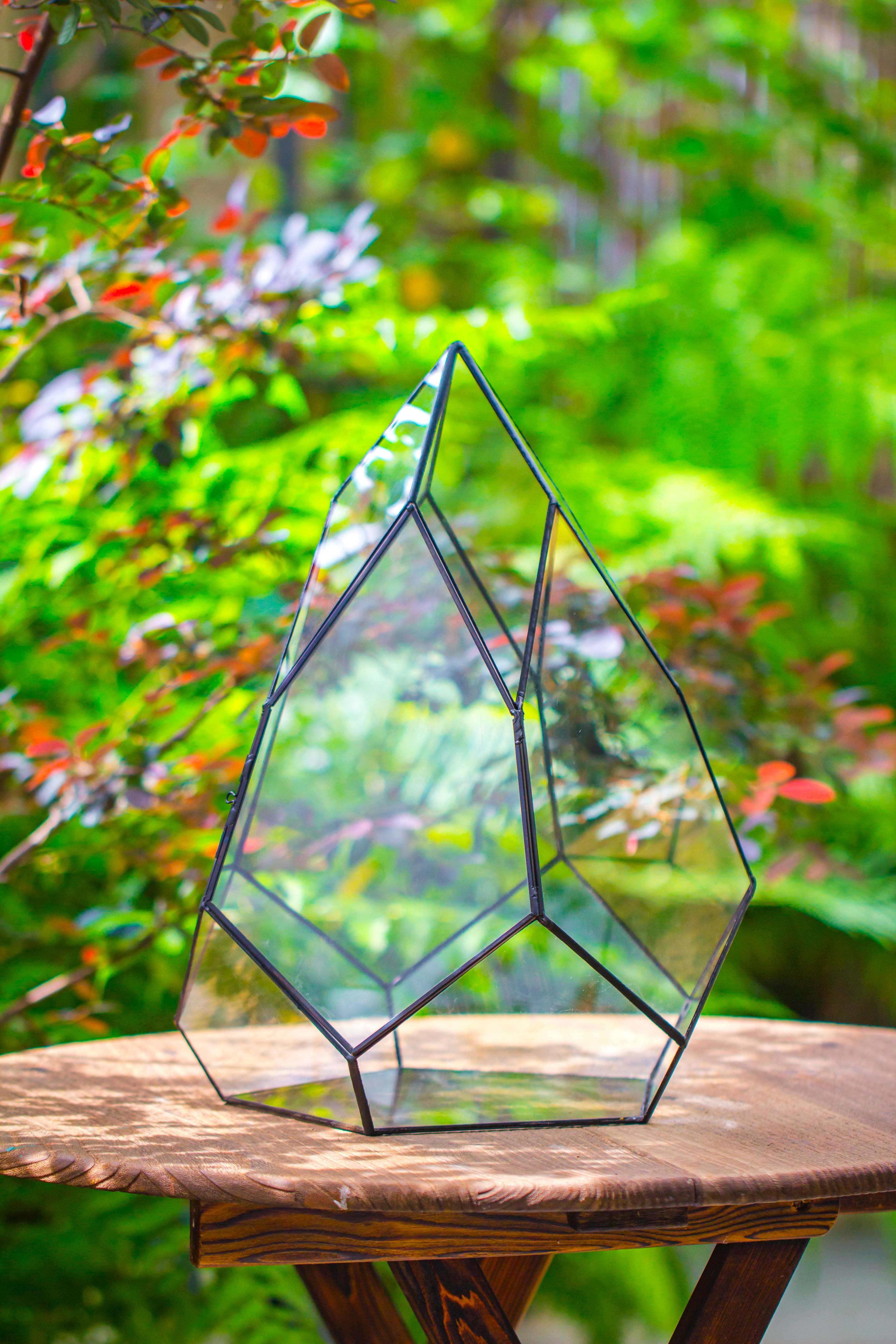 Large 16" tall and wide teardrop tin and glass terrarium, close, with door - NCYPgarden