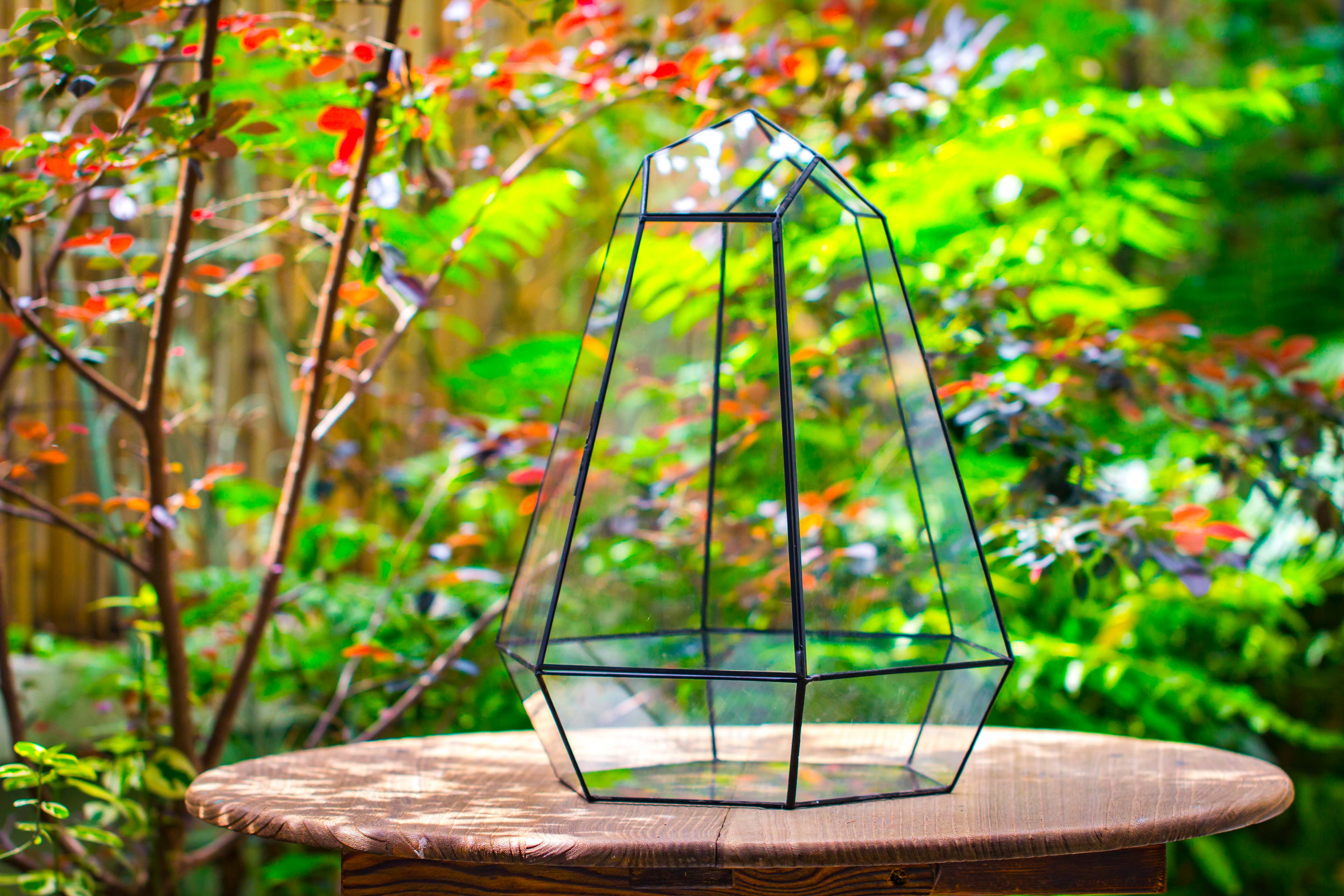 Large 16" tall and wide 6 sided cone tin and glass terrarium, close, with door - NCYPgarden