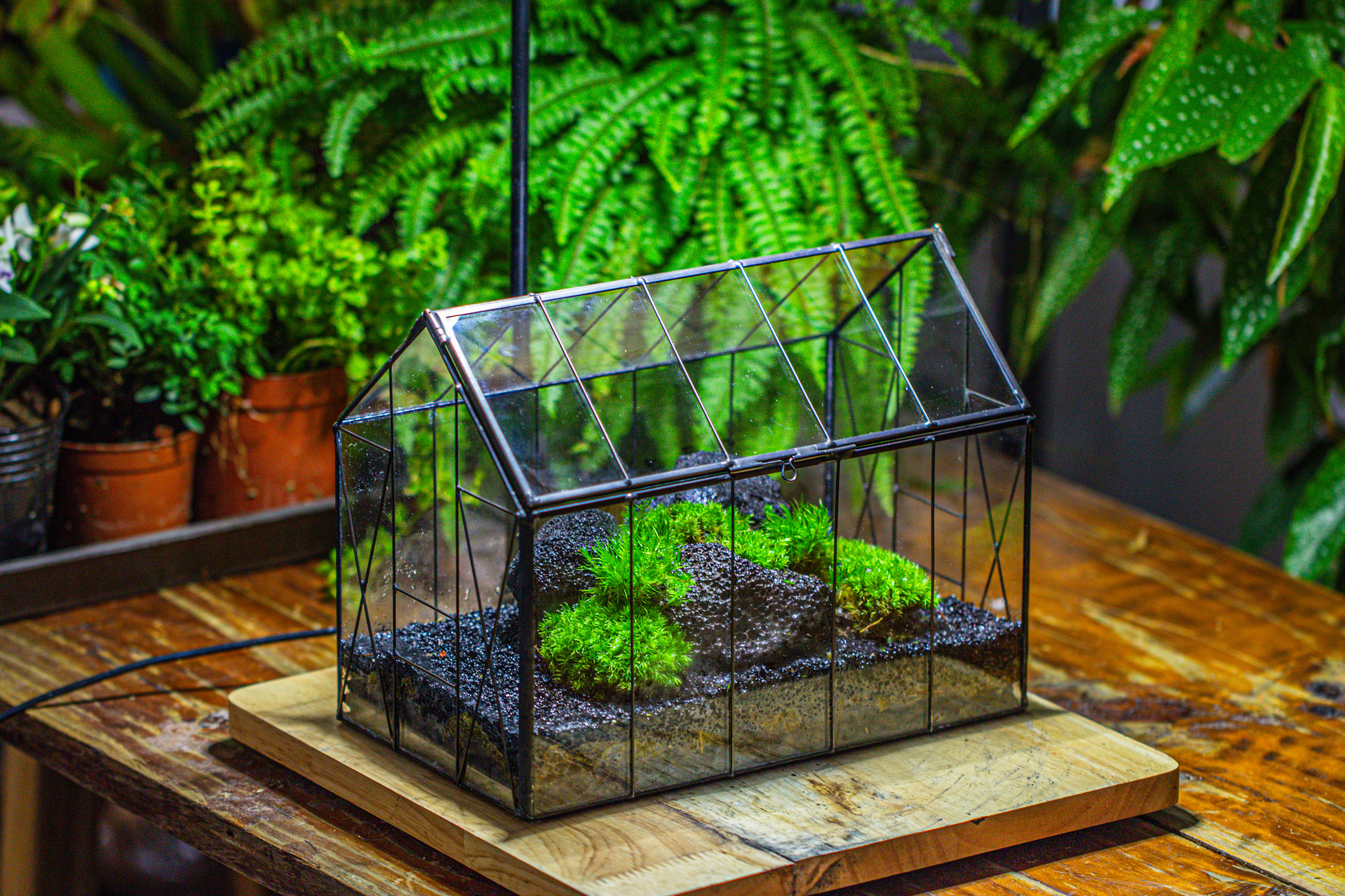 Handmade Vintage Greenhouse Inspired Tin Terrarium with LED Grow Light Set, Closed Glass Planter Set - NCYPgarden
