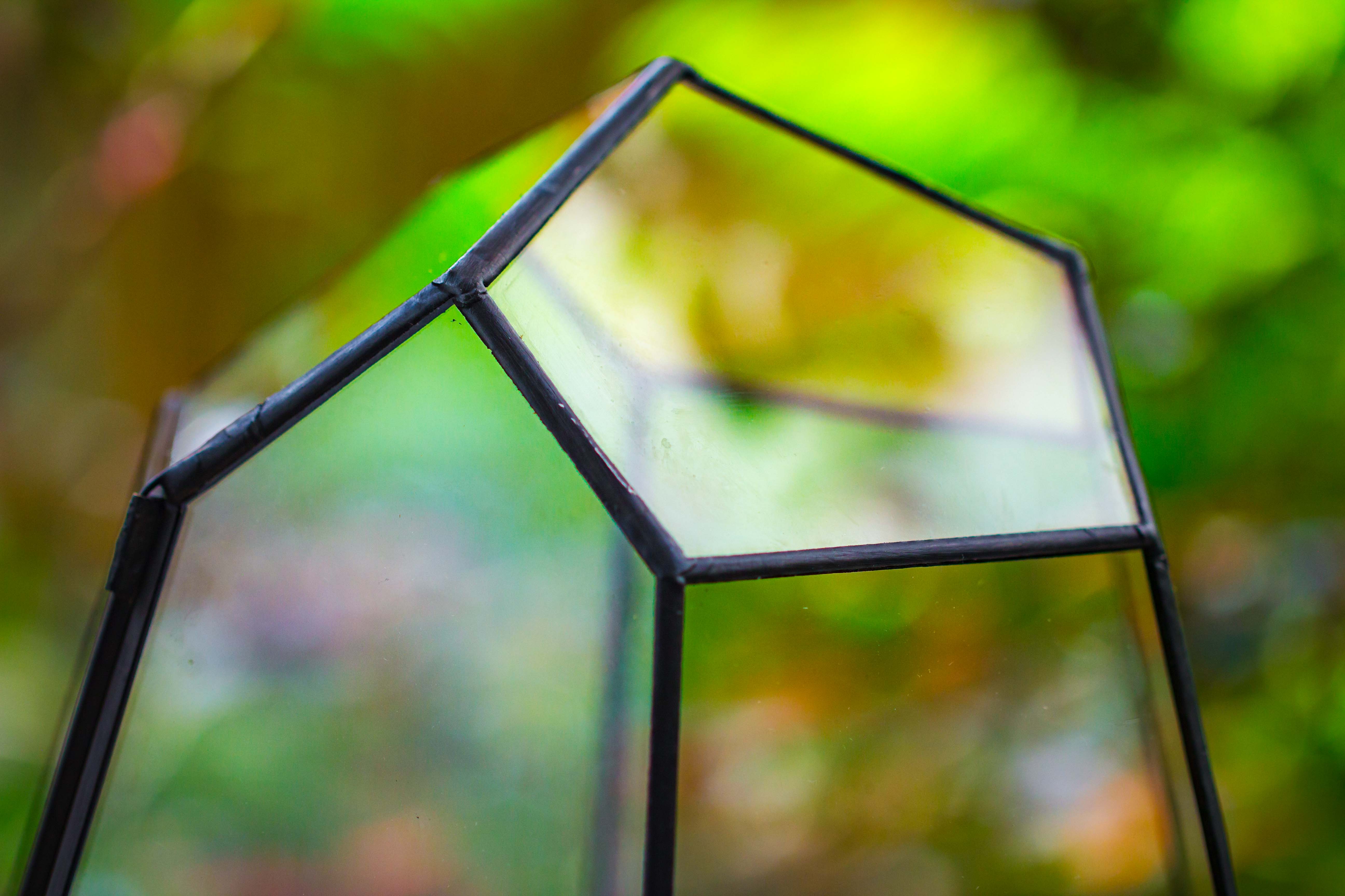 Large 16" tall and wide 6 sided cone tin and glass terrarium, close, with door - NCYPgarden