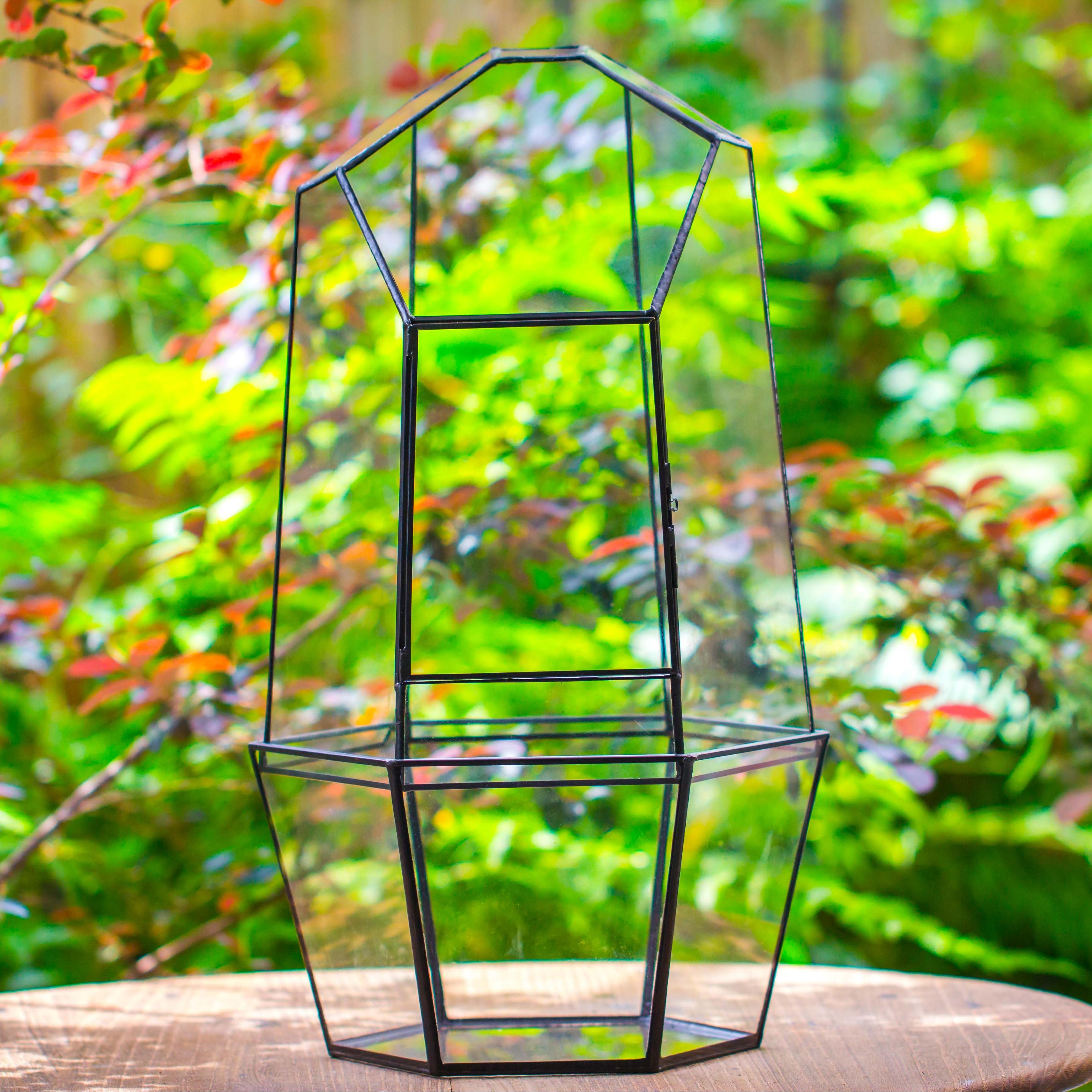 Large 2-Part 18.9" tall Close Glass Terrarium for orchid, fern, moss, Watertight - NCYPgarden