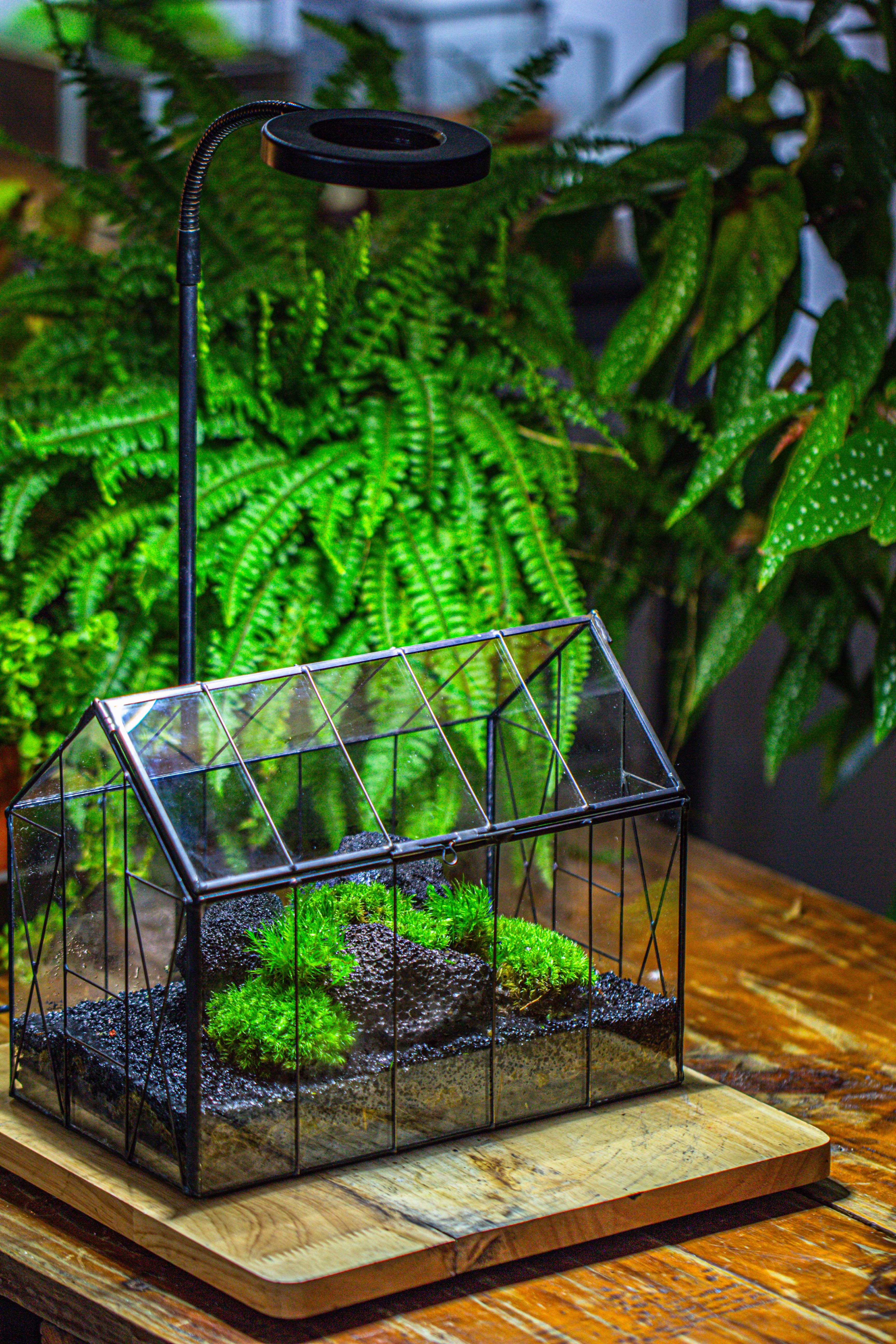 房子上开门 谷仓 黑火山岩 - NCYPgarden