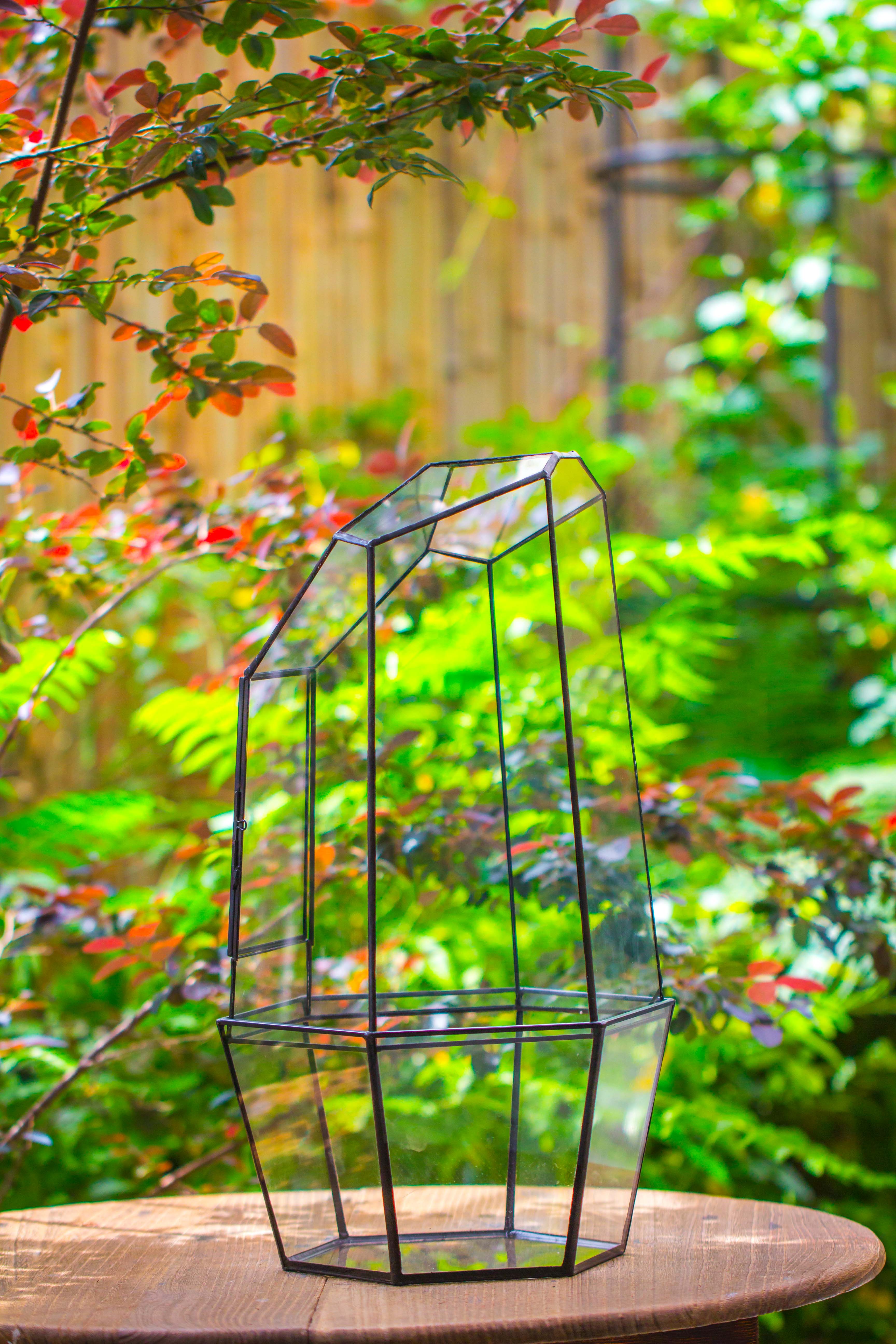 Large 2-Part 18.9" tall Close Glass Terrarium for orchid, fern, moss, Watertight - NCYPgarden