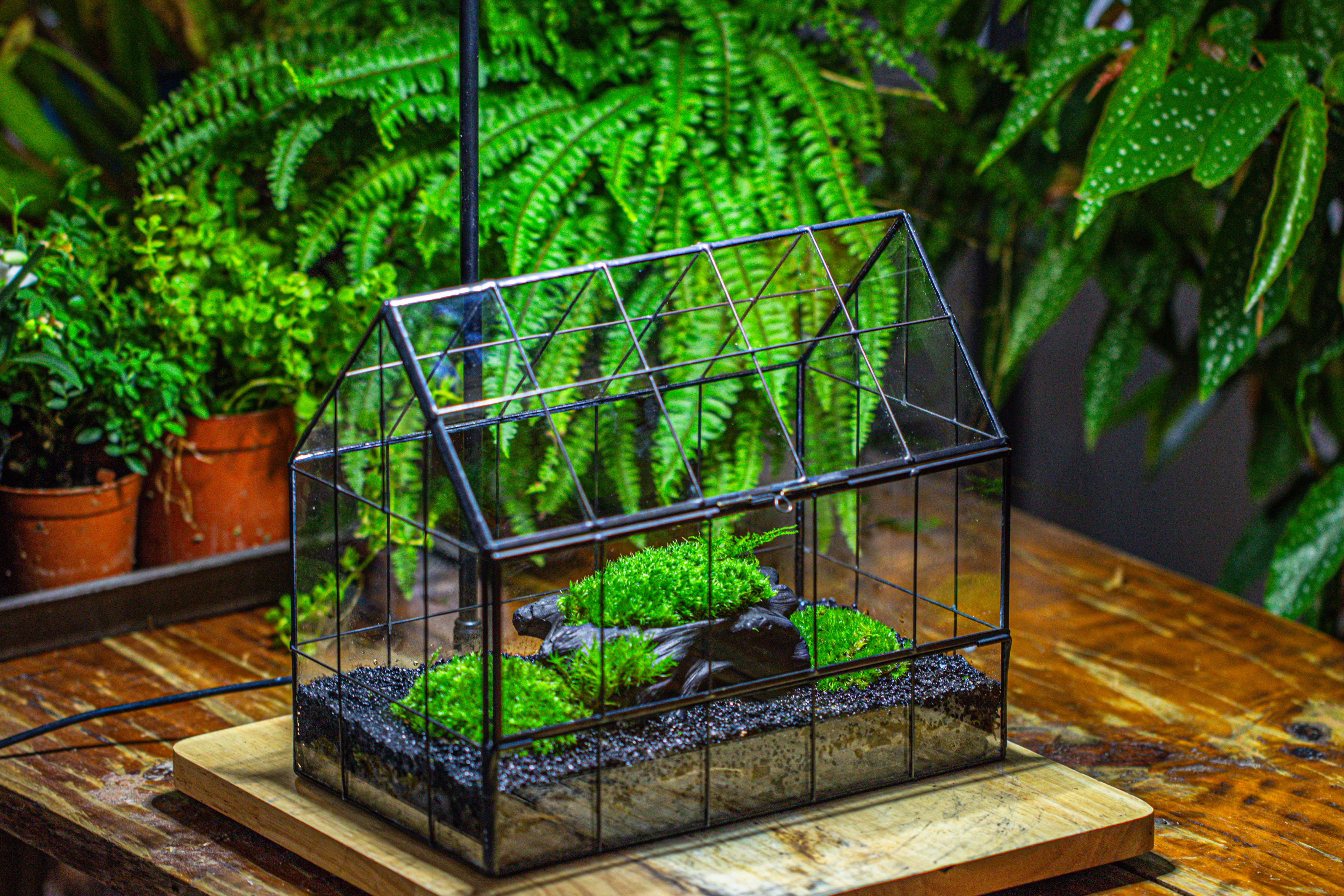 Handmade Glass Terrarium with LED Grow Light Set, Side Door Closed Geometric GreenHouse with Base and Light Set - NCYPgarden
