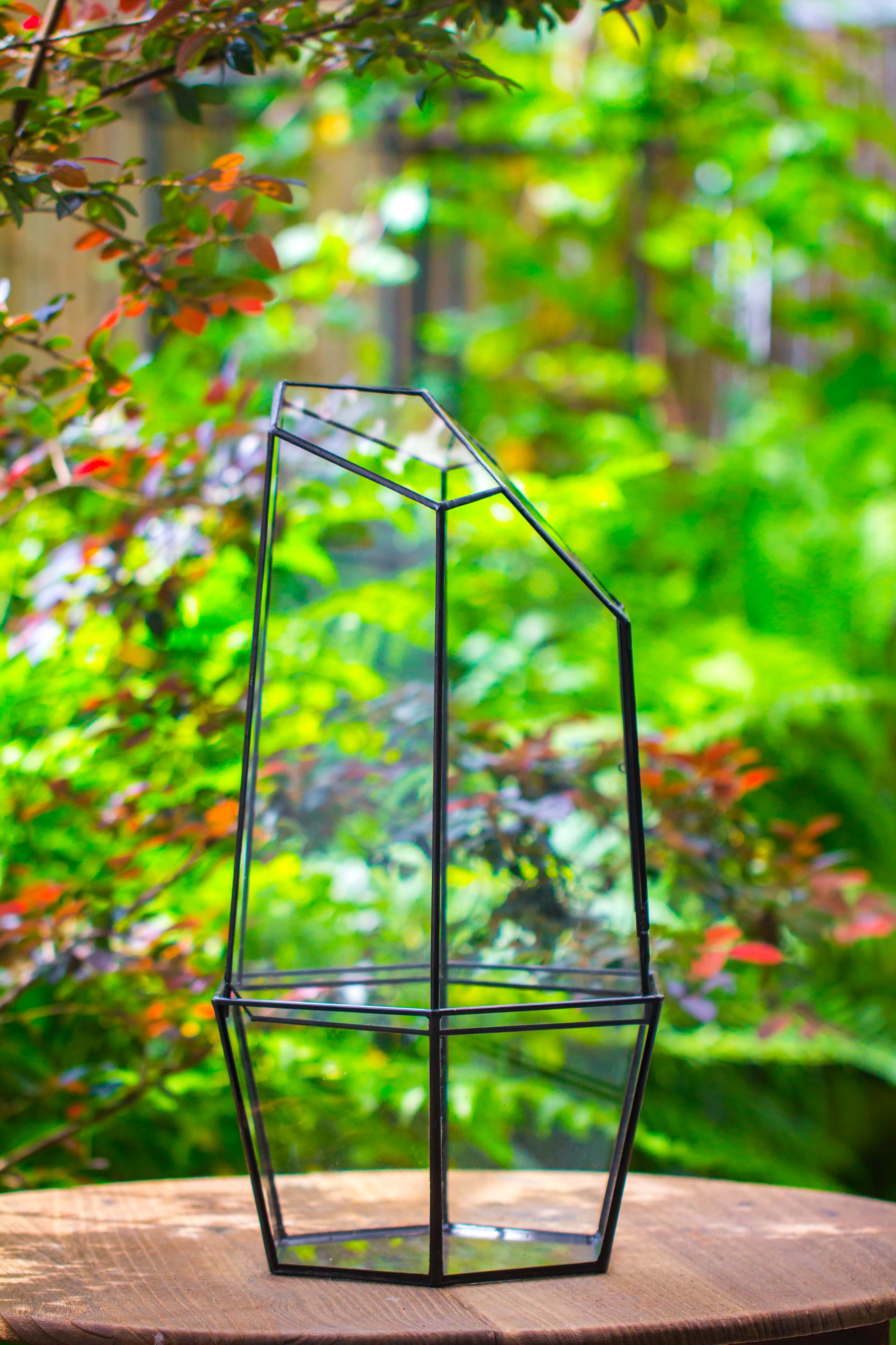 Large 2-Part 18.9" tall Close Glass Terrarium for orchid, fern, moss, Watertight - NCYPgarden