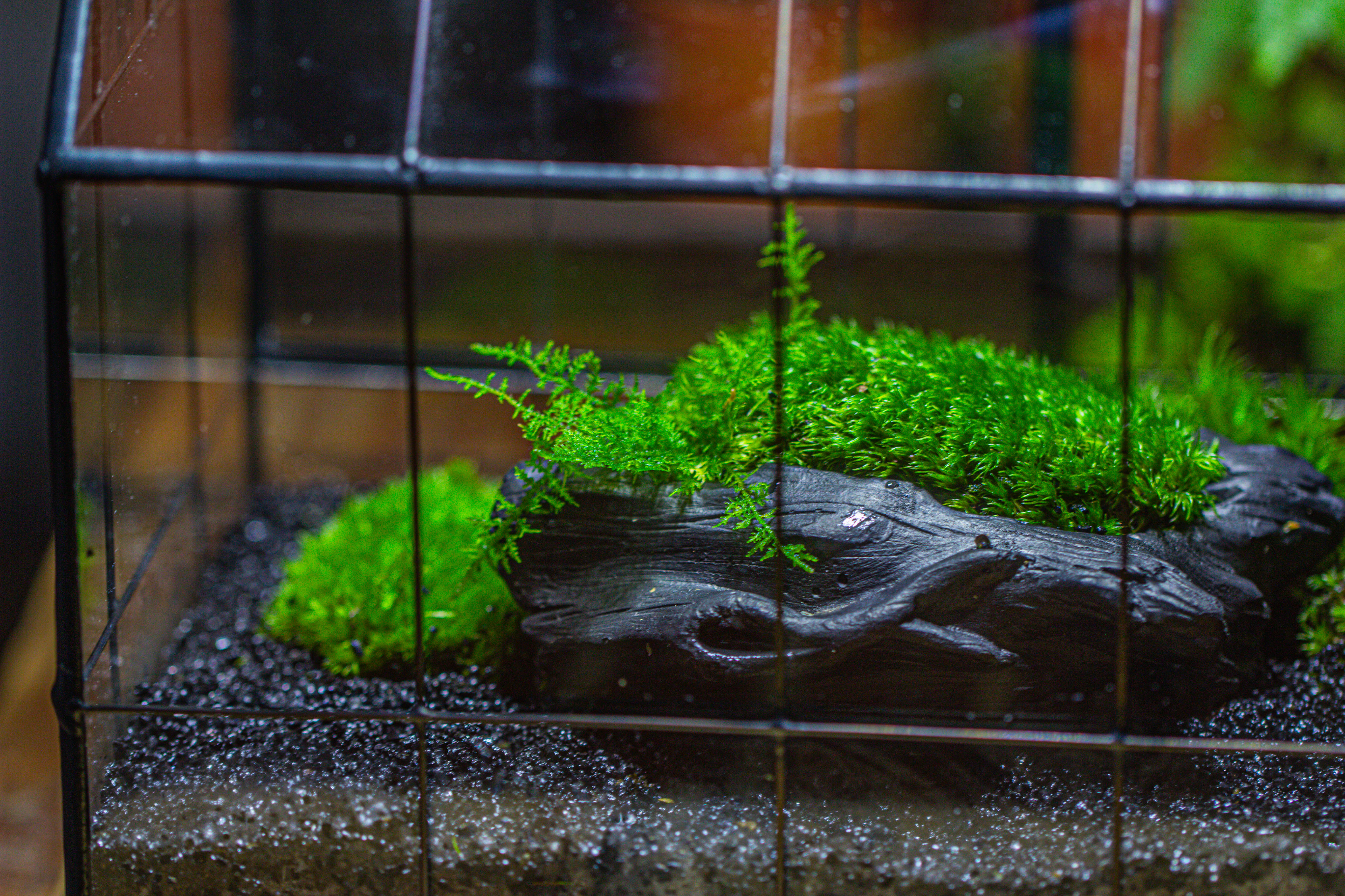 small black tree stump like planter, for terrarium, microlandscape - NCYPgarden