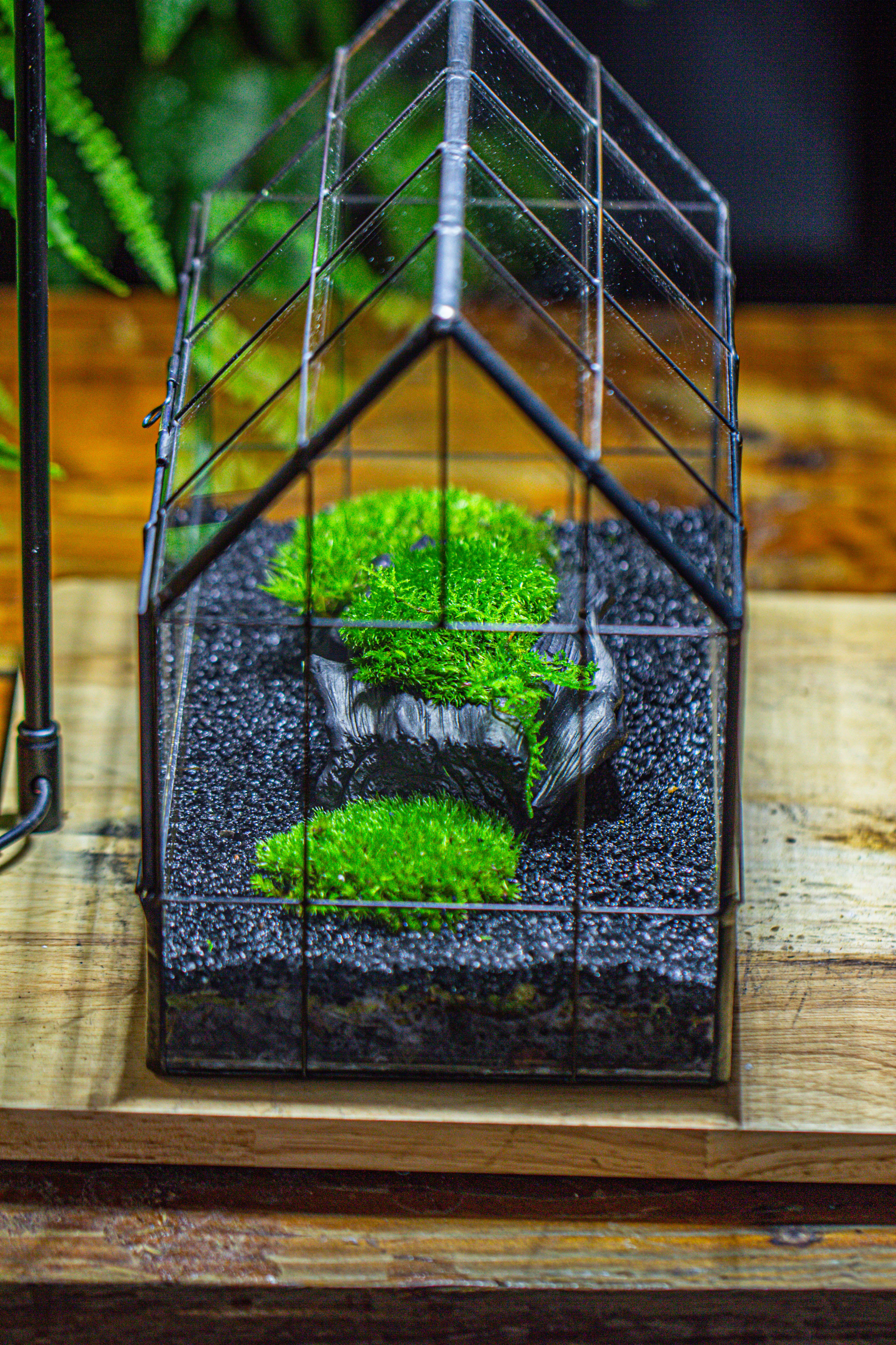 Handmade Glass Terrarium with LED Grow Light Set, Side Door Closed Geometric GreenHouse with Base and Light Set - NCYPgarden