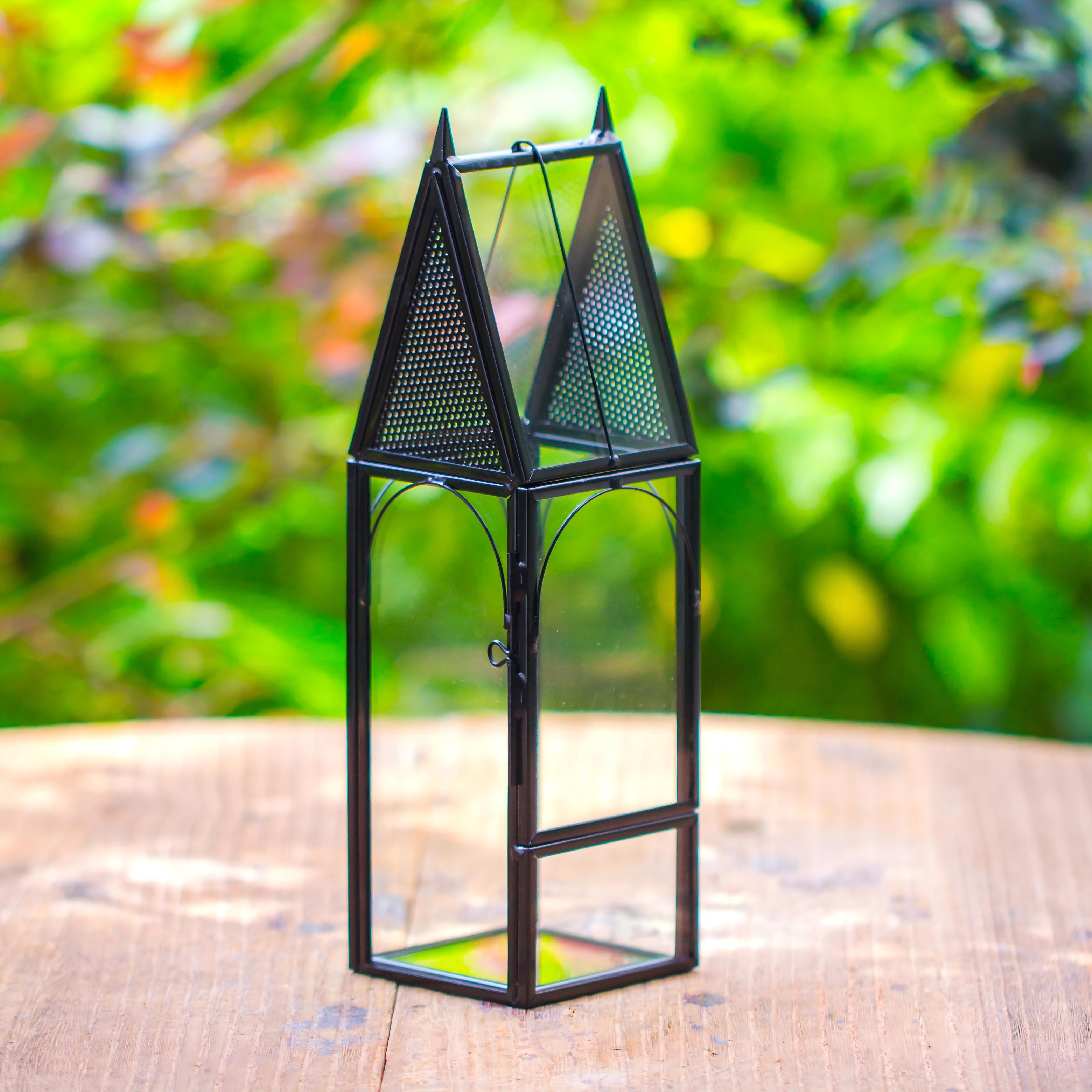 Mini tall house shape jumping spider terrarium - NCYPgarden