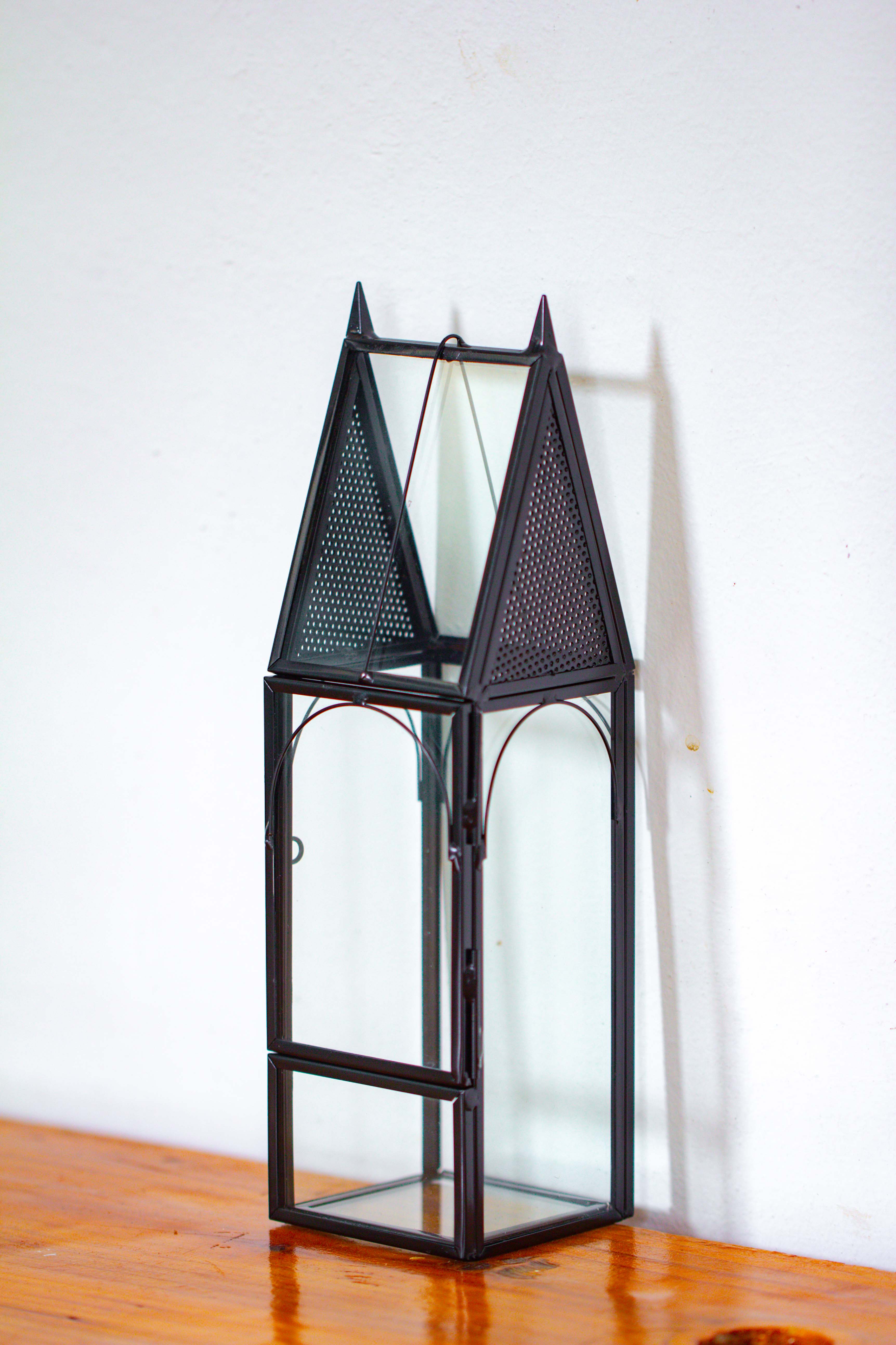 Mini tall house shape jumping spider terrarium - NCYPgarden