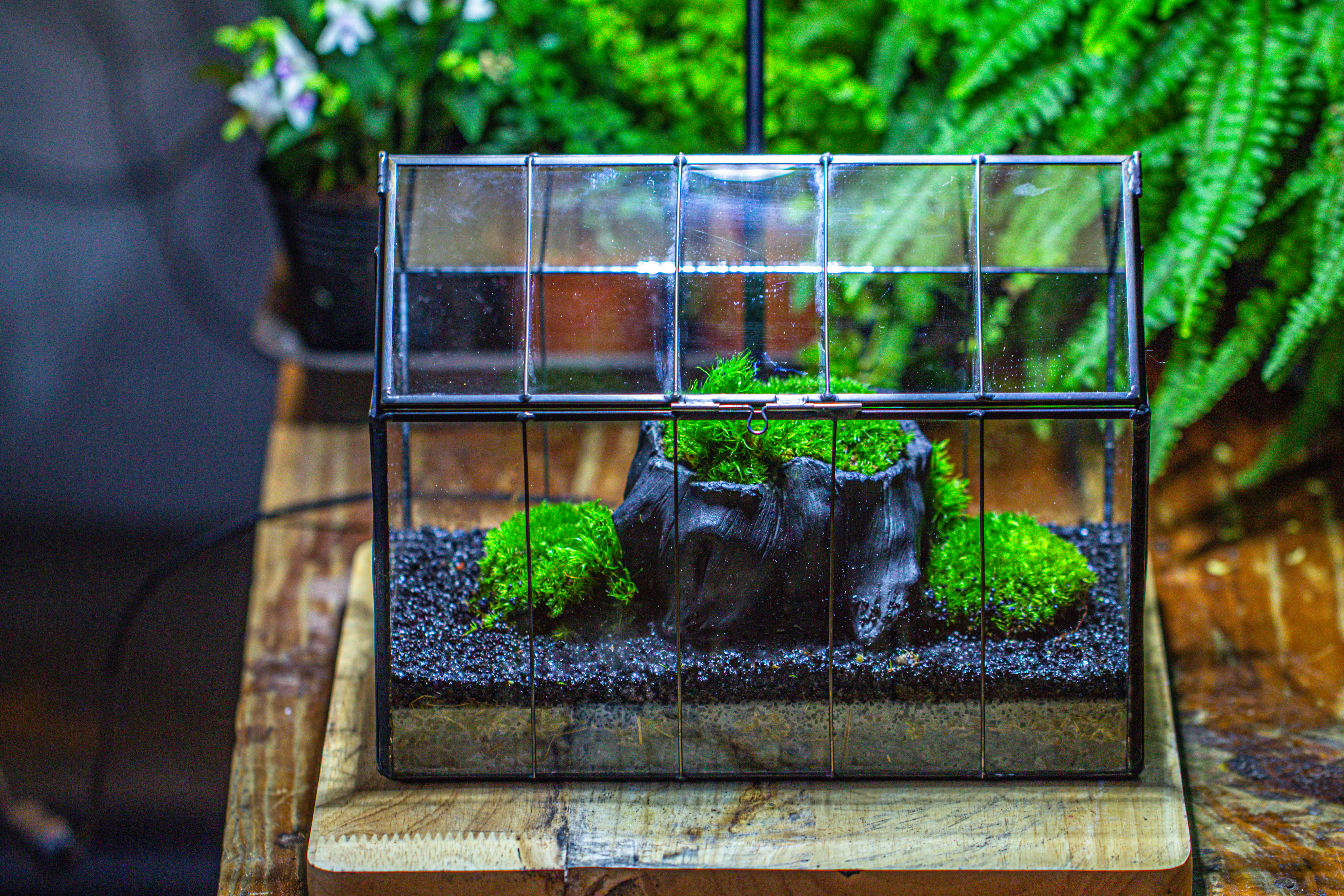 房子上开门 谷仓 黑树桩 - NCYPgarden