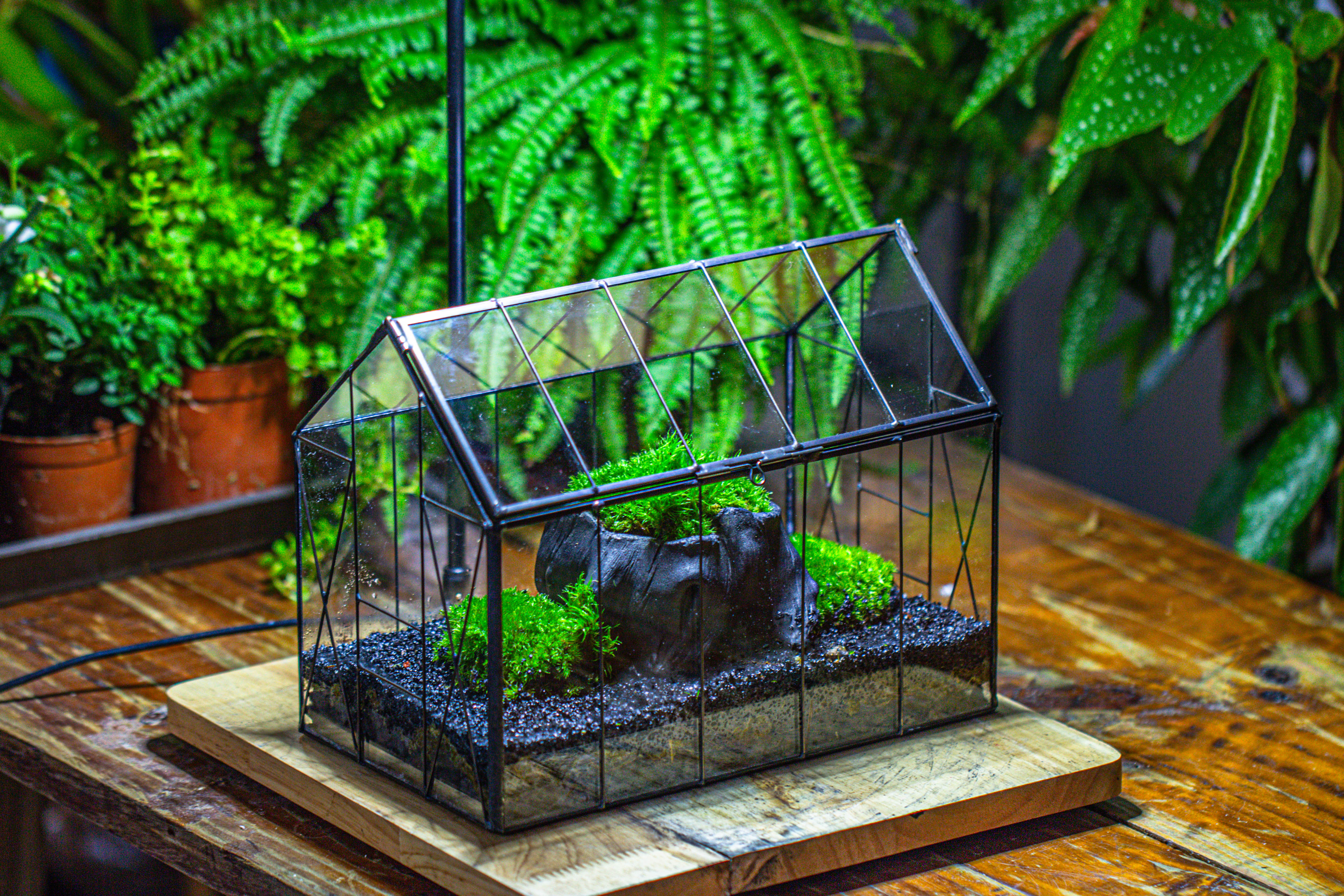 Handmade Vintage Greenhouse Inspired Tin Terrarium with LED Grow Light Set, Closed Glass Planter Set - NCYPgarden