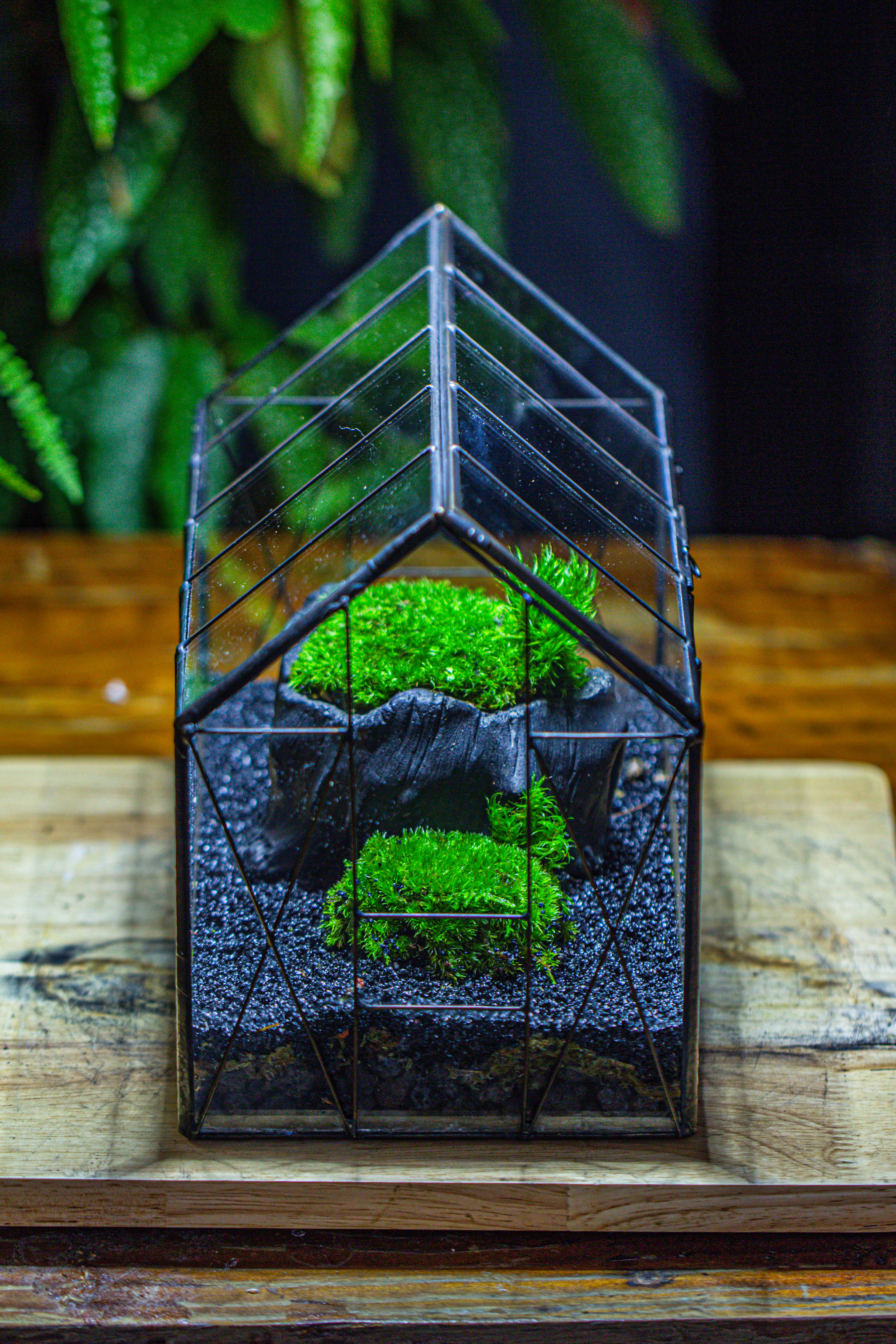 房子上开门 谷仓 黑树桩 - NCYPgarden