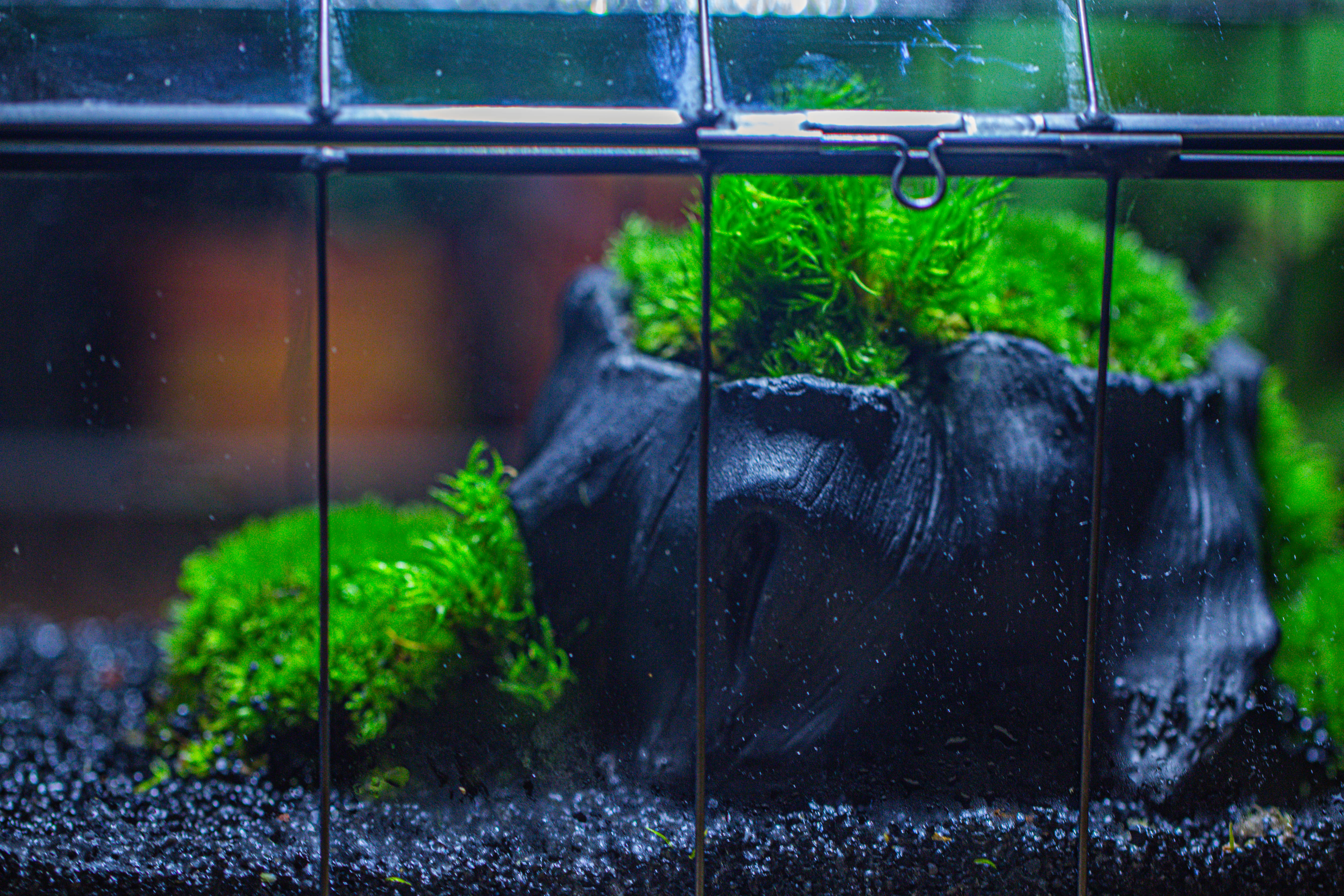 small black tree stump like planter, for terrarium, microlandscape - NCYPgarden