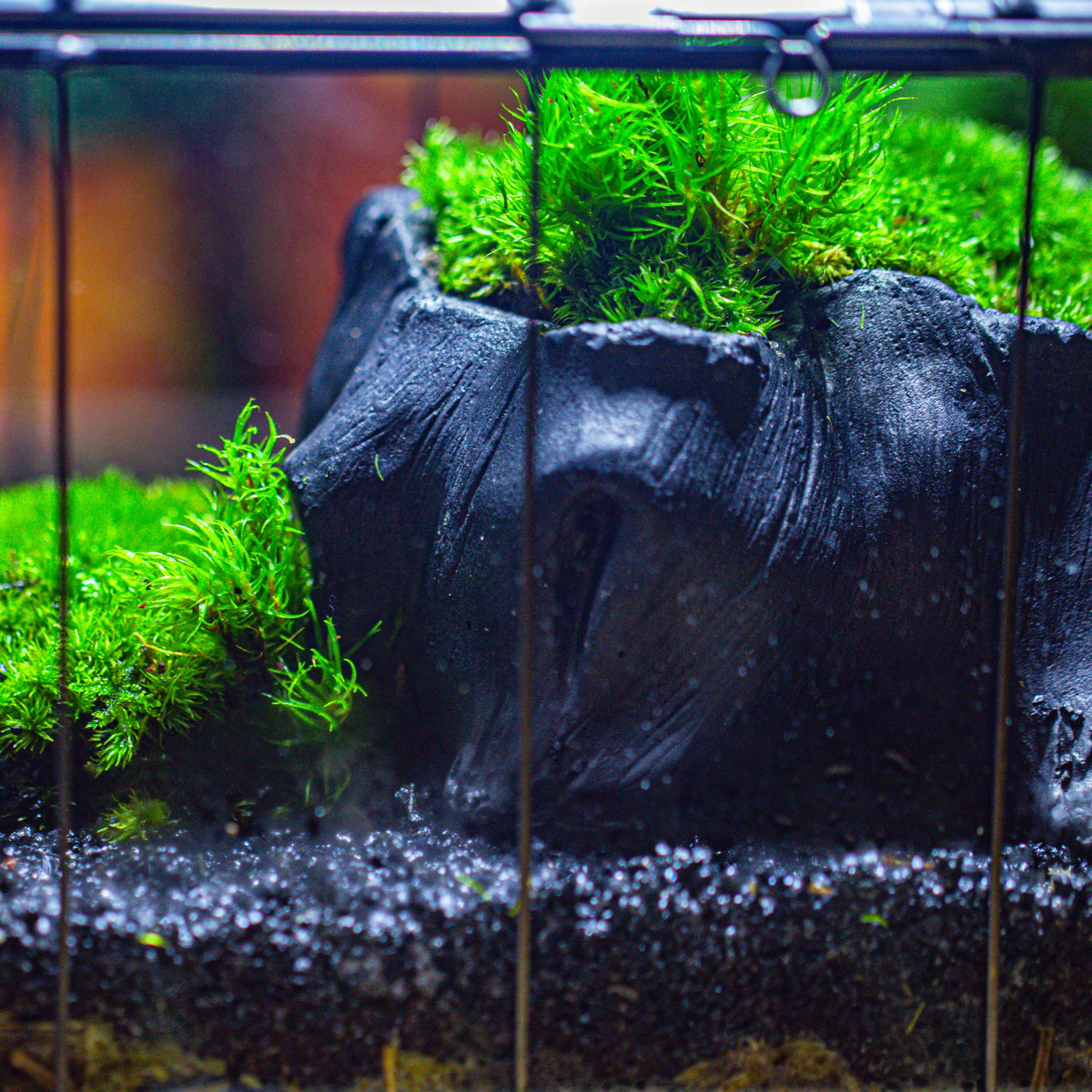 small black tree stump like planter, for terrarium, microlandscape - NCYPgarden