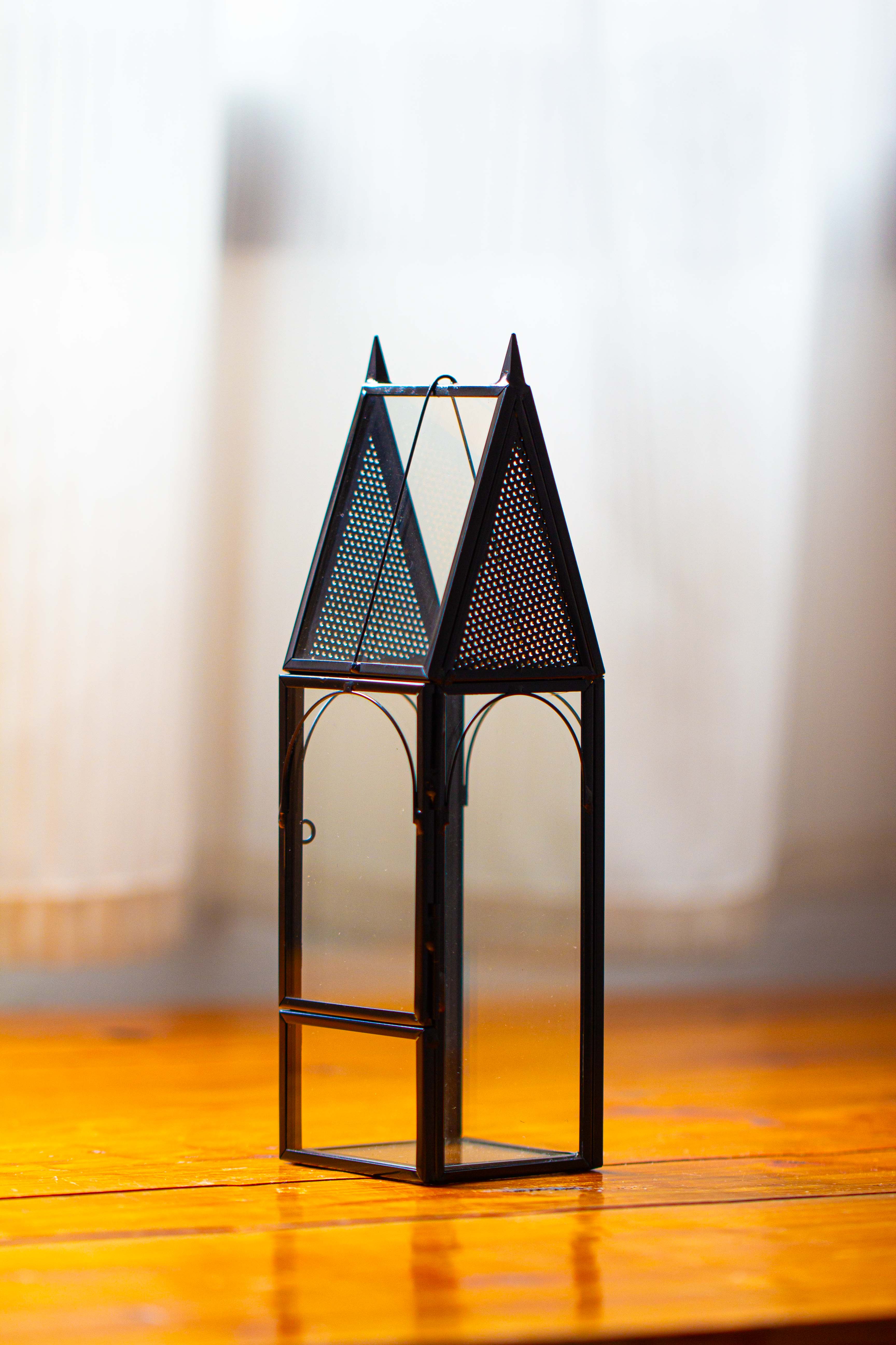 Mini tall house shape jumping spider terrarium - NCYPgarden