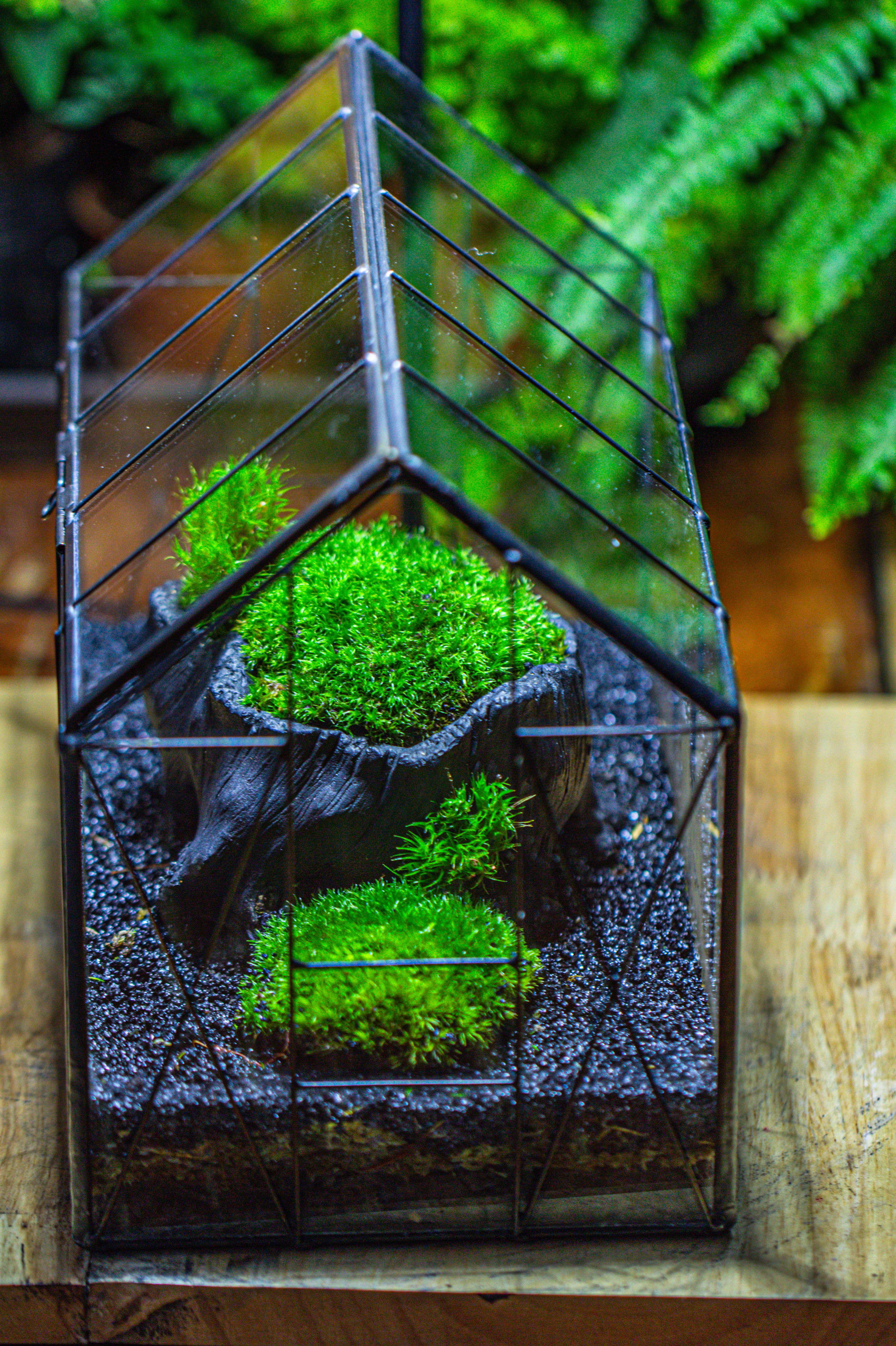 房子上开门 谷仓 黑树桩 - NCYPgarden