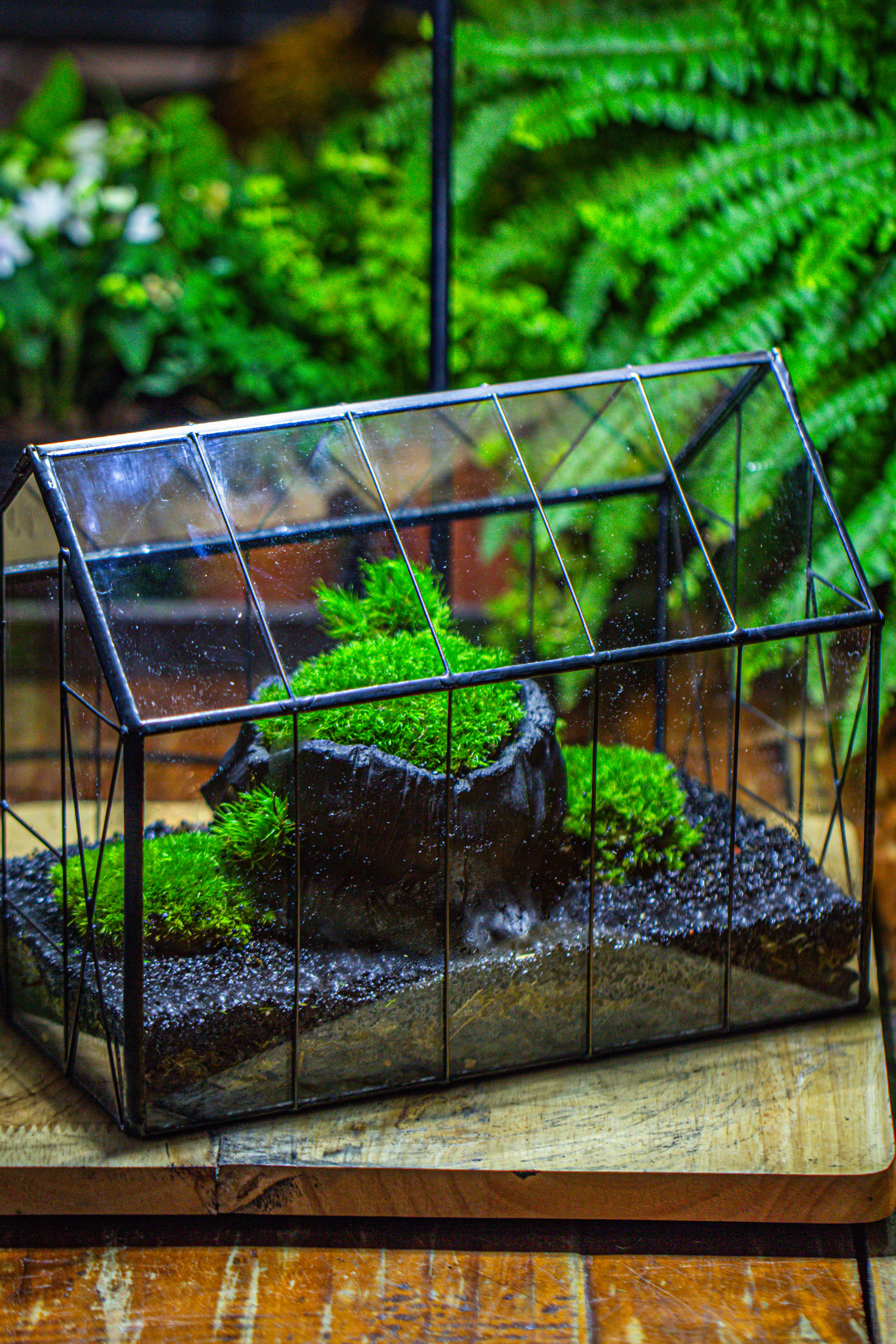 房子上开门 谷仓 黑树桩 - NCYPgarden