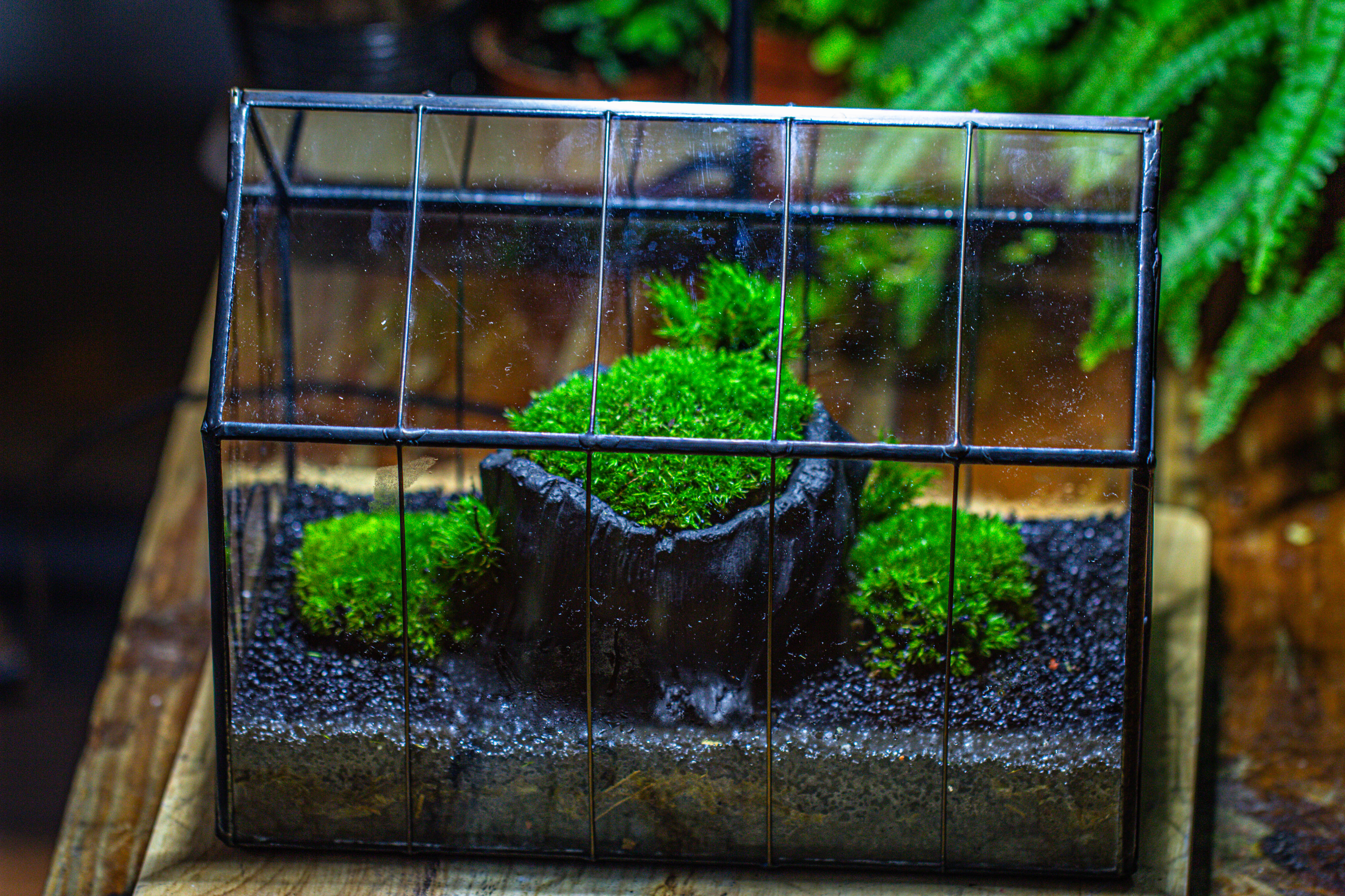 房子上开门 谷仓 黑树桩 - NCYPgarden