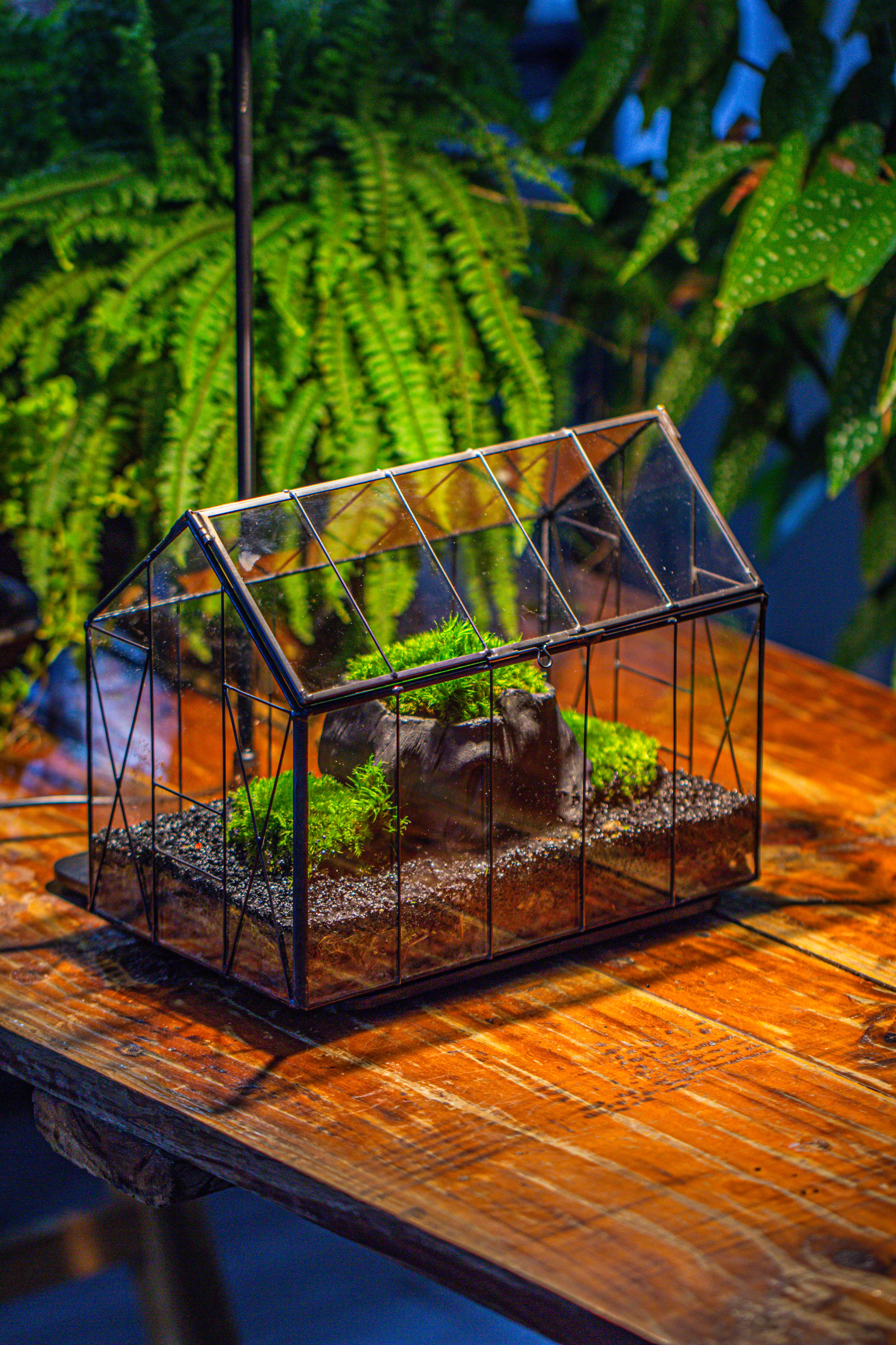 房子上开门 谷仓 黑树桩 - NCYPgarden