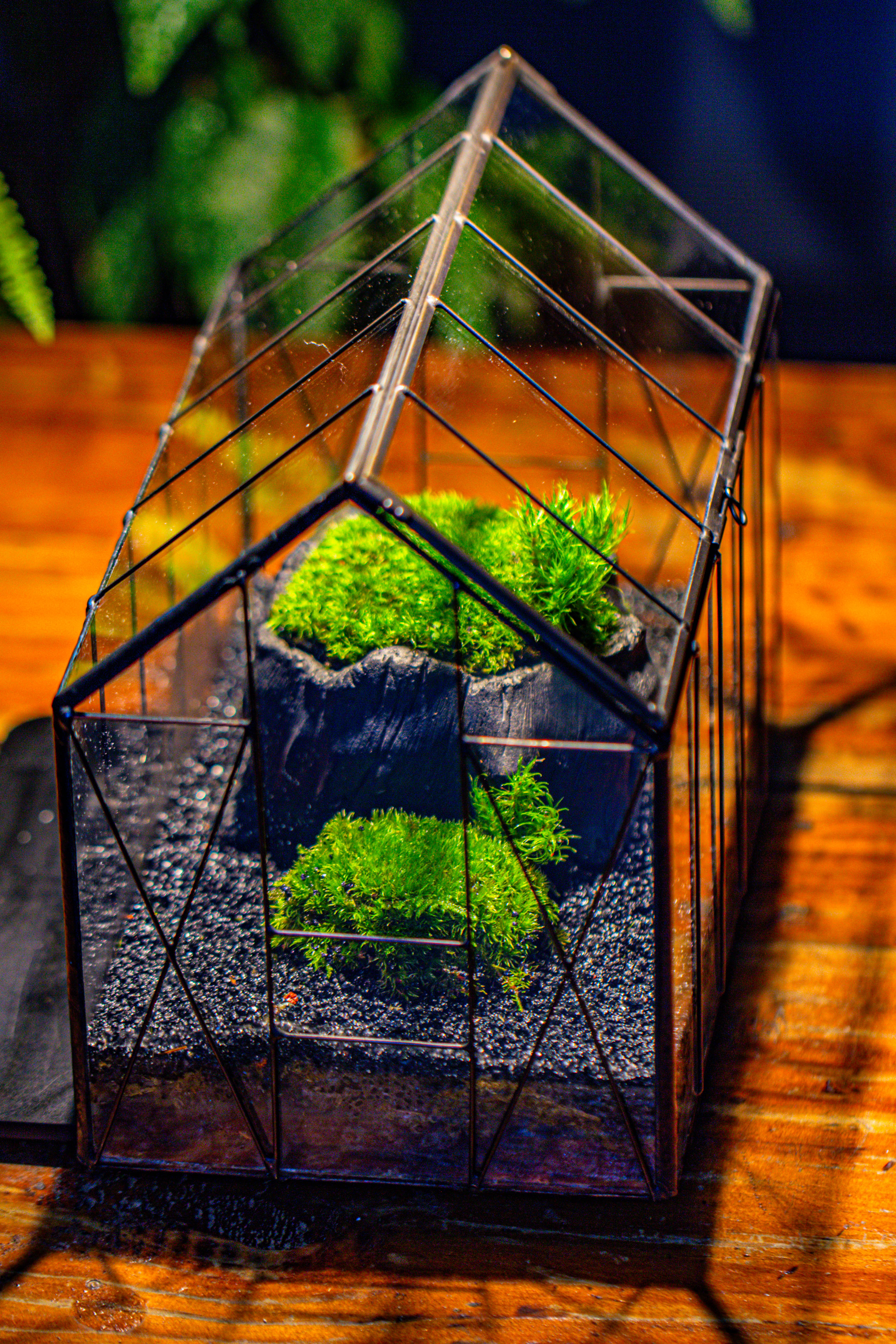 房子上开门 谷仓 黑树桩 - NCYPgarden