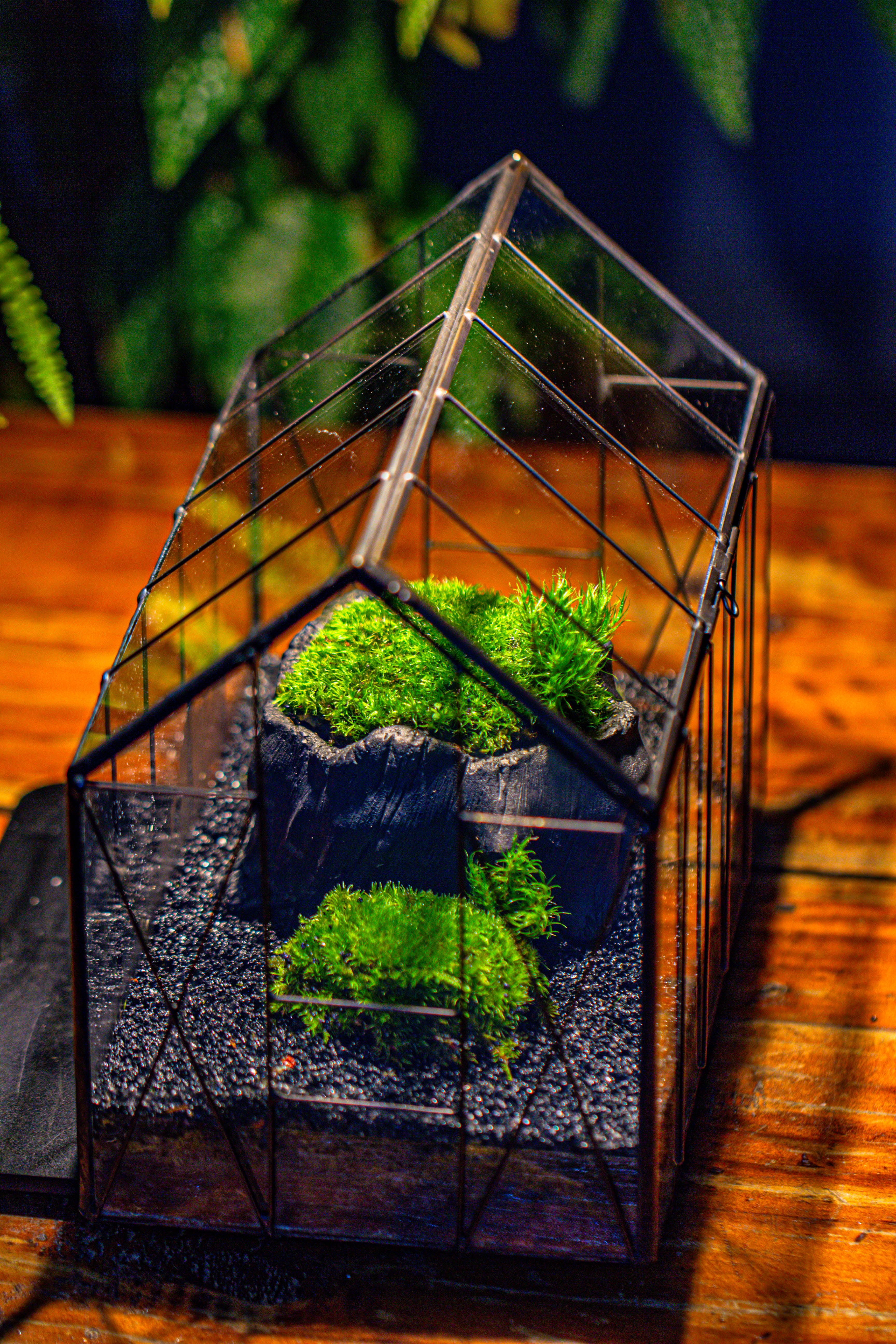 Handmade Vintage Greenhouse Inspired Tin Terrarium with LED Grow Light Set, Closed Glass Planter Set - NCYPgarden