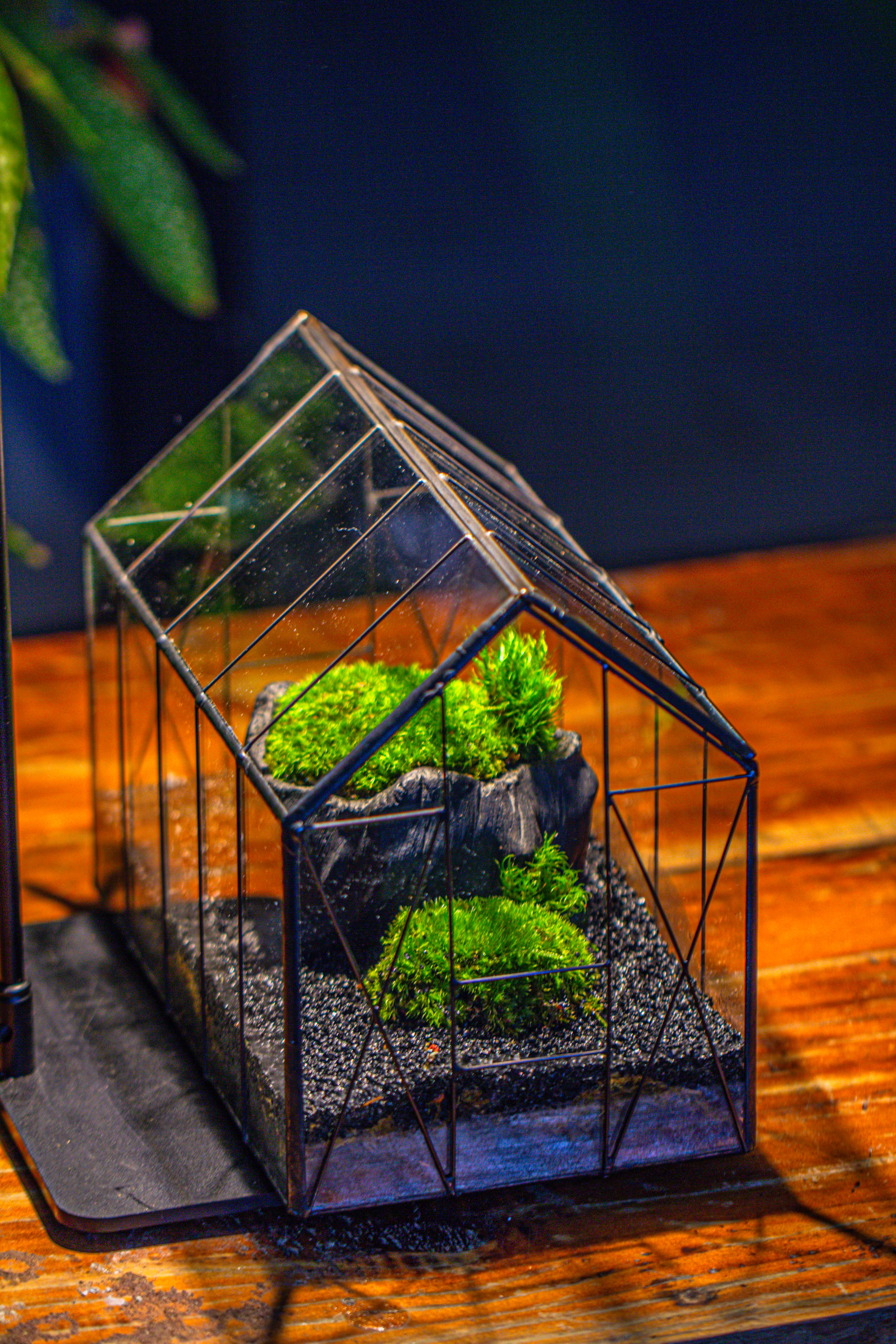 Handmade Vintage Greenhouse Inspired Tin Terrarium with LED Grow Light Set, Closed Glass Planter Set - NCYPgarden