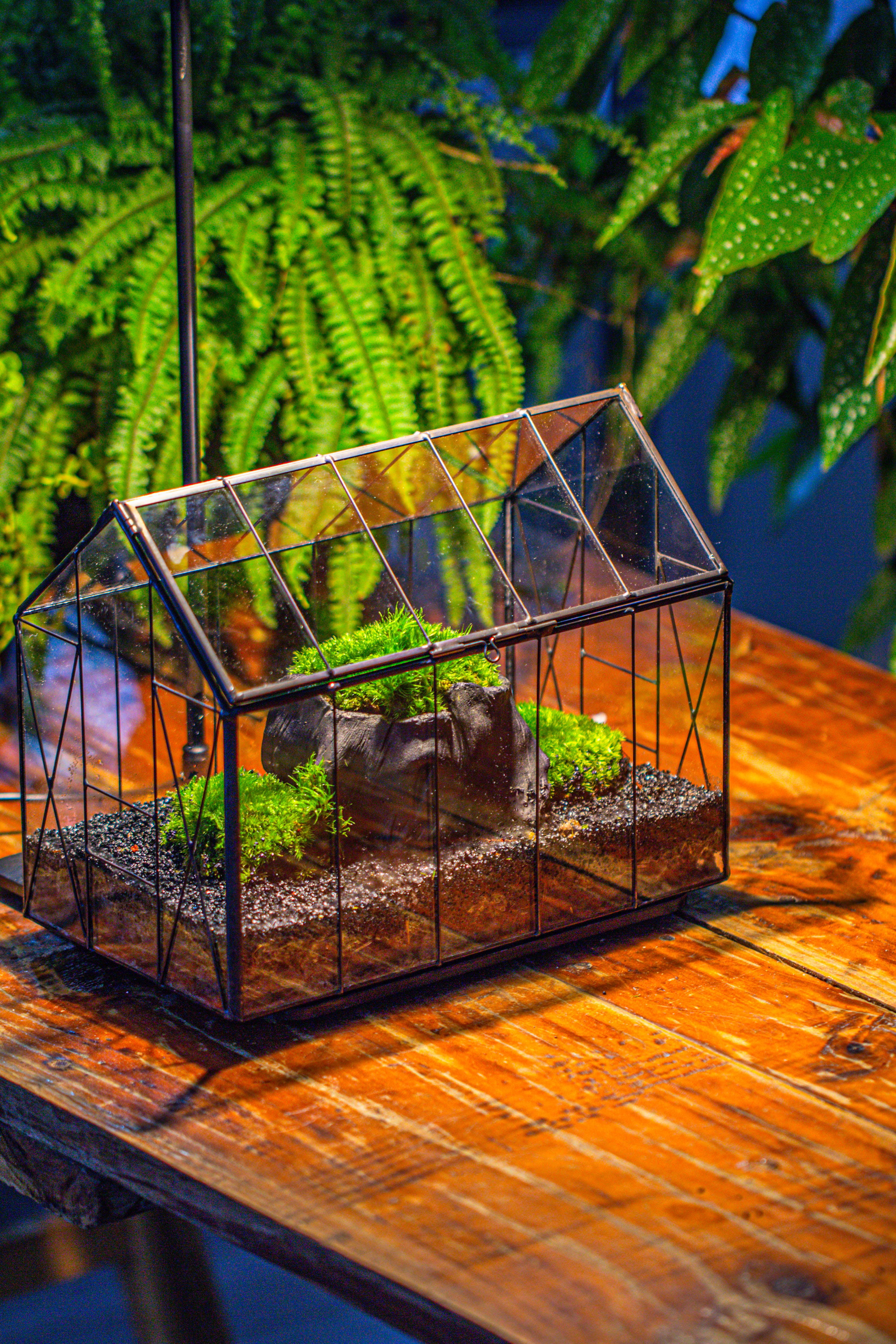Handmade Vintage Greenhouse Inspired Tin Terrarium with LED Grow Light Set, Closed Glass Planter Set - NCYPgarden