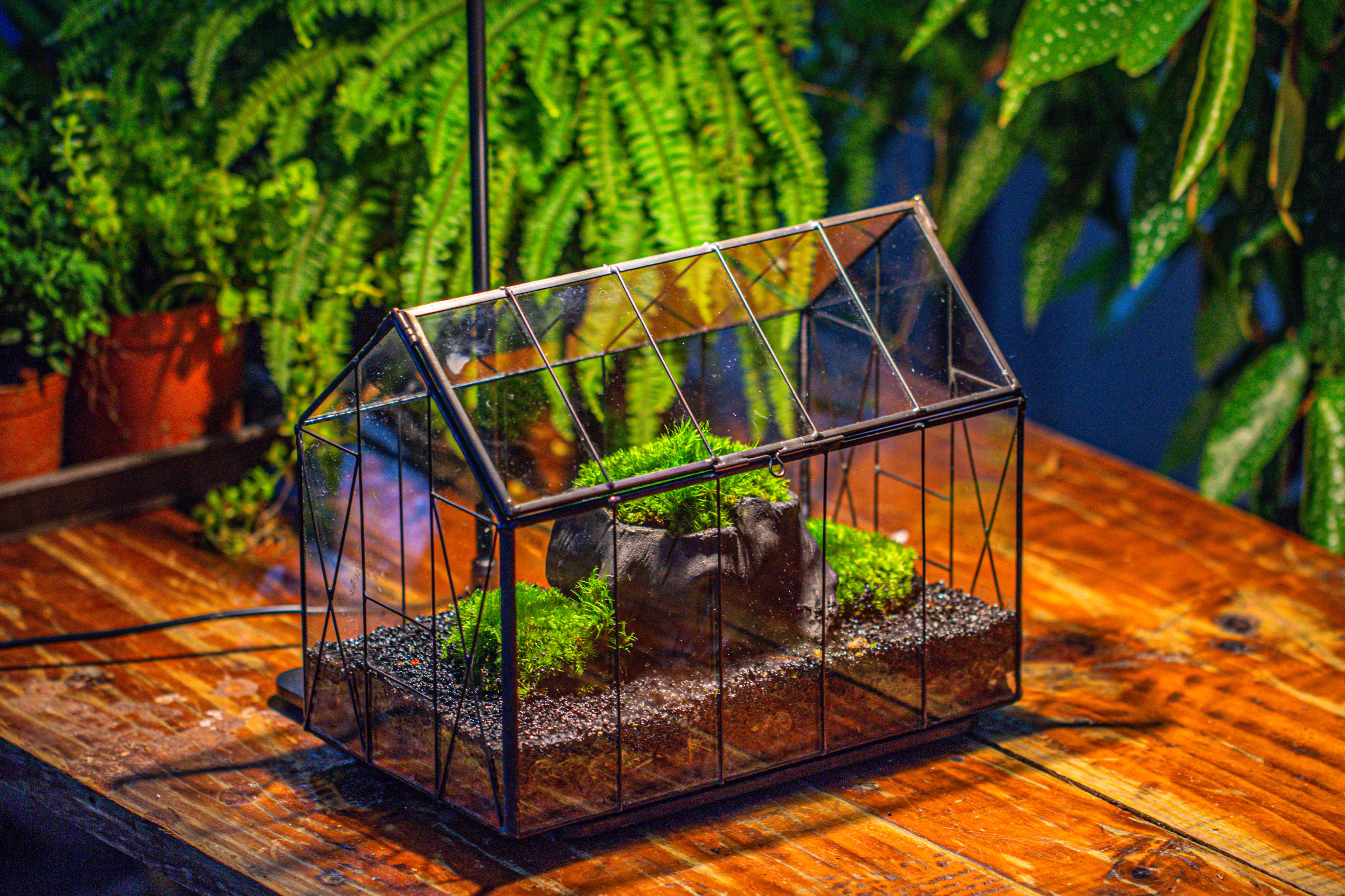 Handmade Vintage Greenhouse Inspired Tin Terrarium with LED Grow Light Set, Closed Glass Planter Set - NCYPgarden