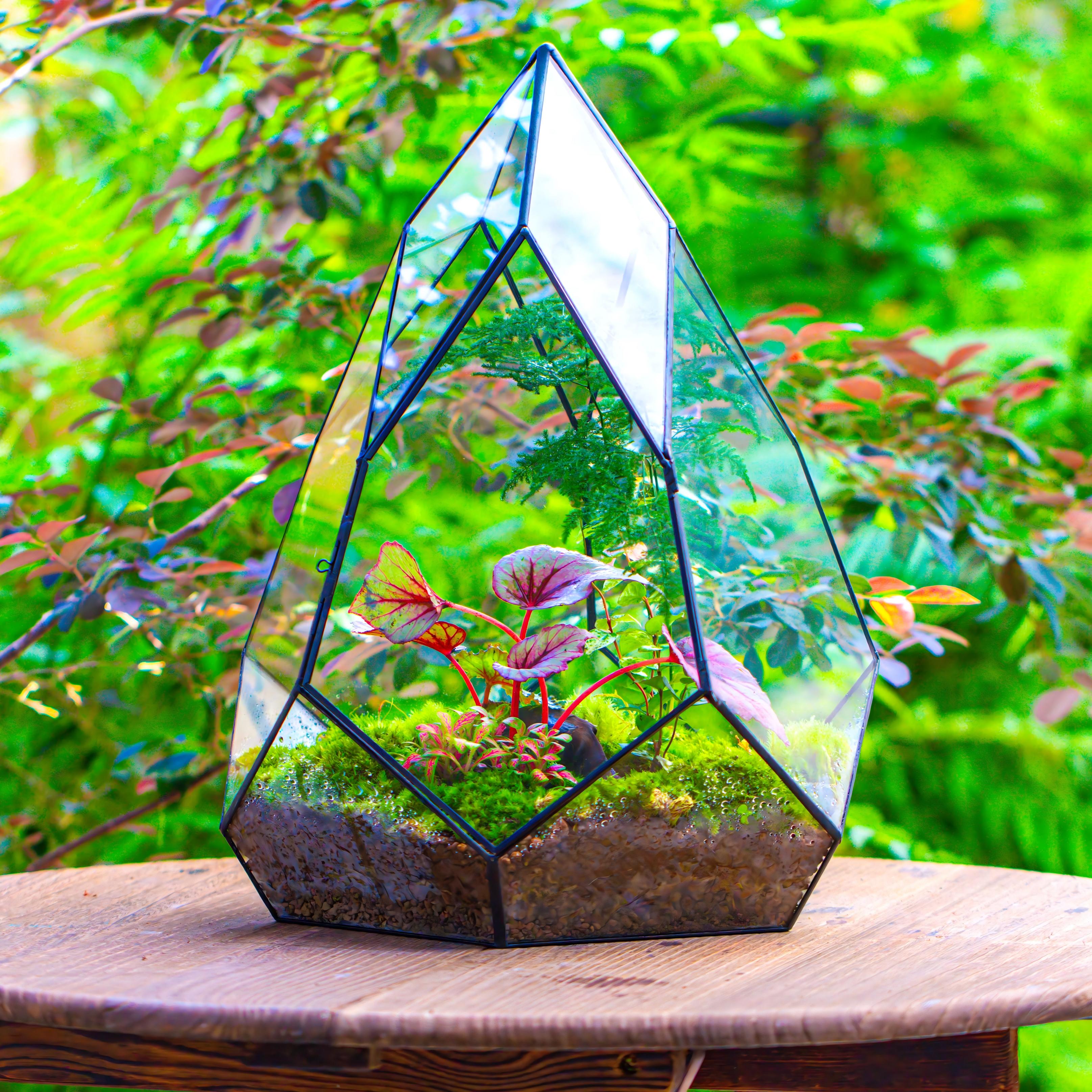 Large 16" tall and wide teardrop tin and glass terrarium, close, with door - NCYPgarden