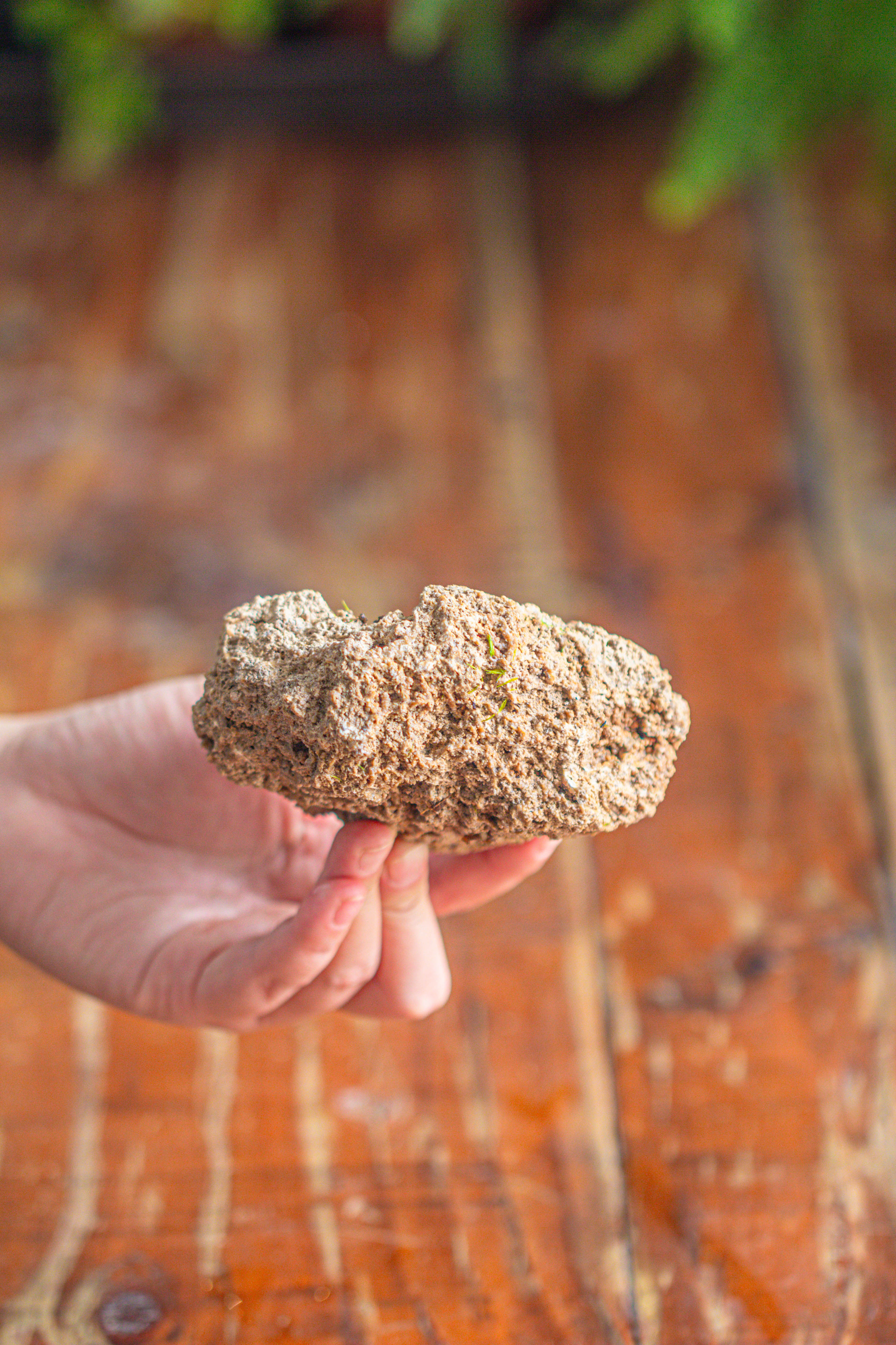 Natural Limestone Rock for moss, bonsai, hydroponic planting, 500-700G - NCYPgarden