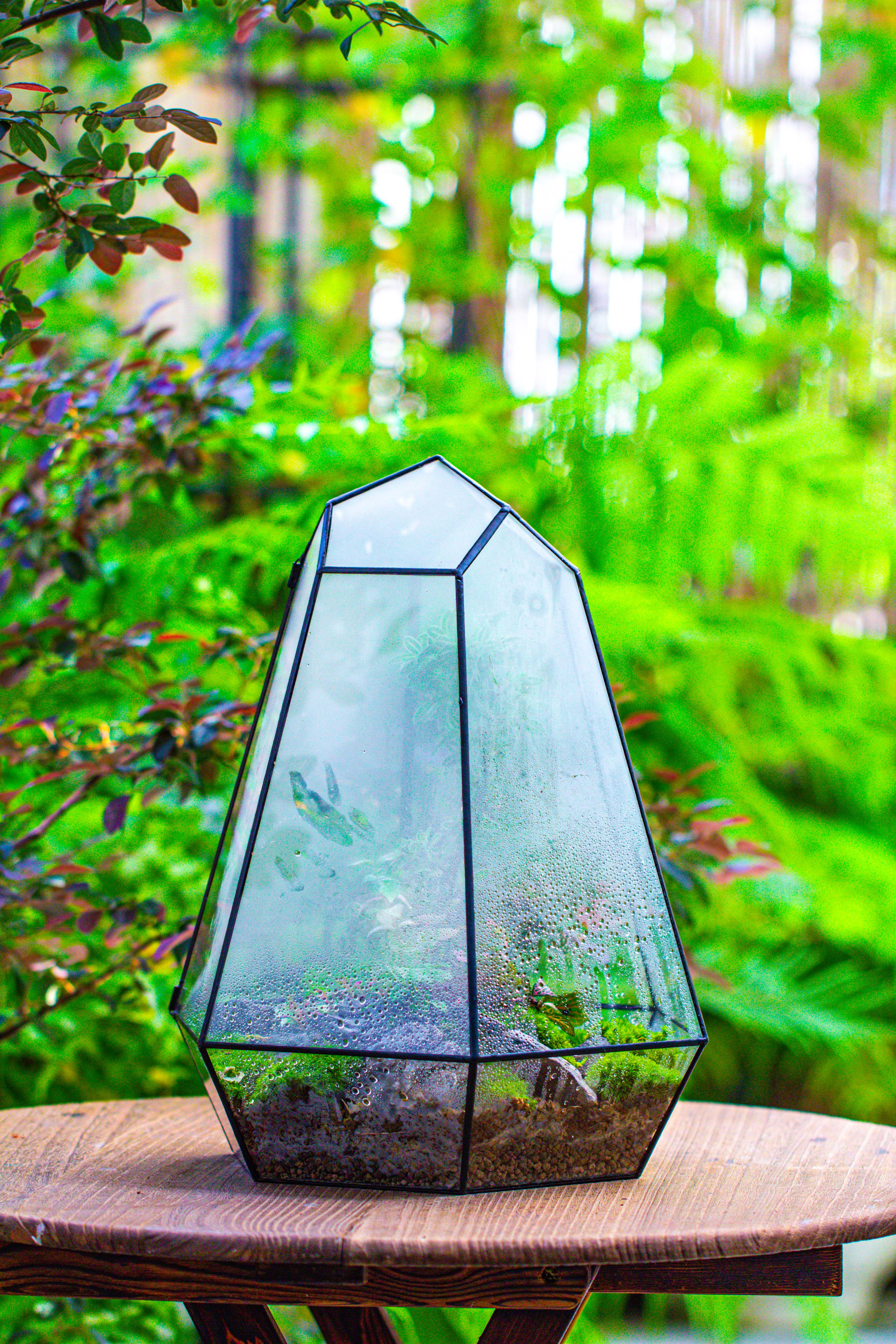 Large 16" tall and wide 6 sided cone tin and glass terrarium, close, with door - NCYPgarden