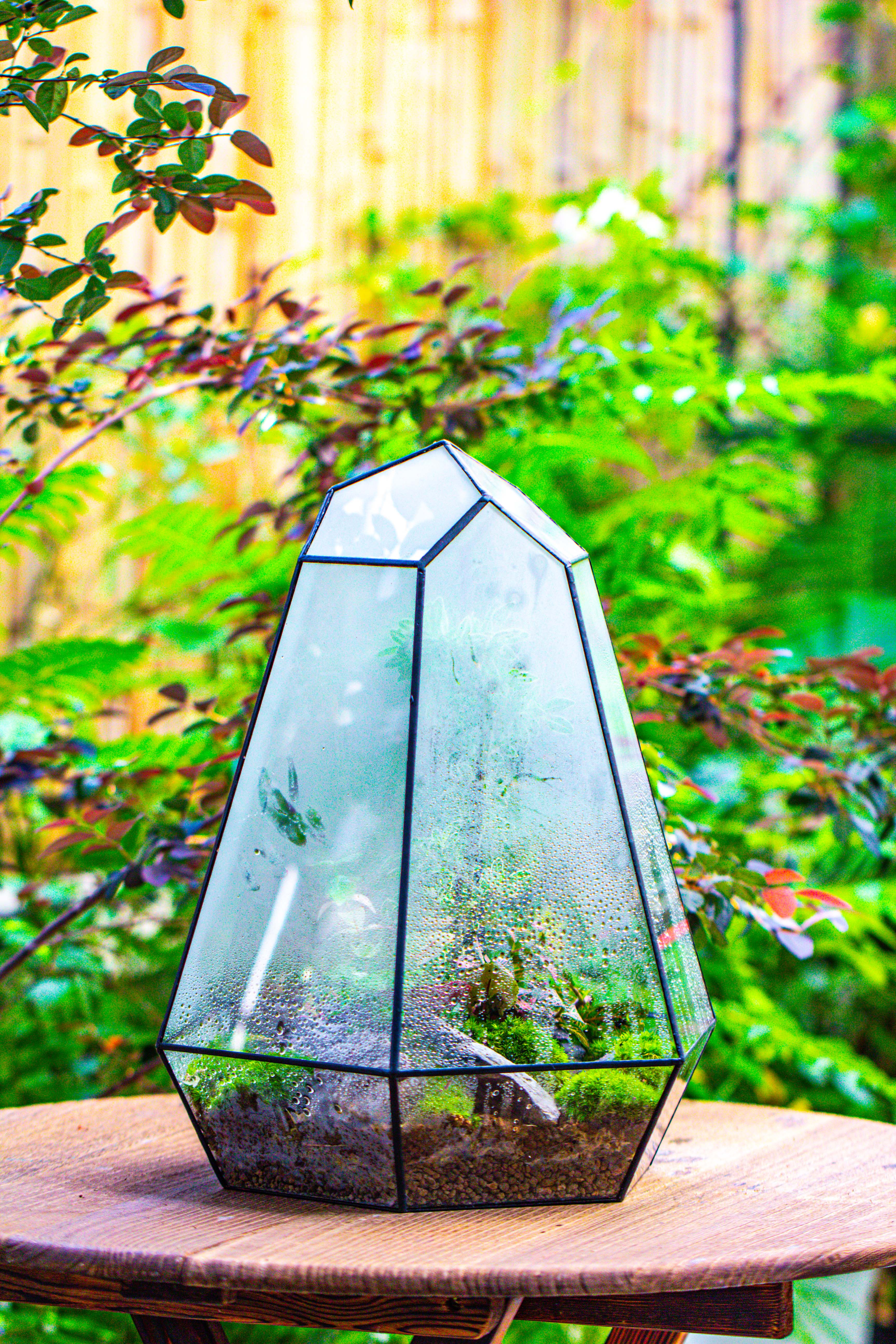 Large 16" tall and wide 6 sided cone tin and glass terrarium, close, with door - NCYPgarden