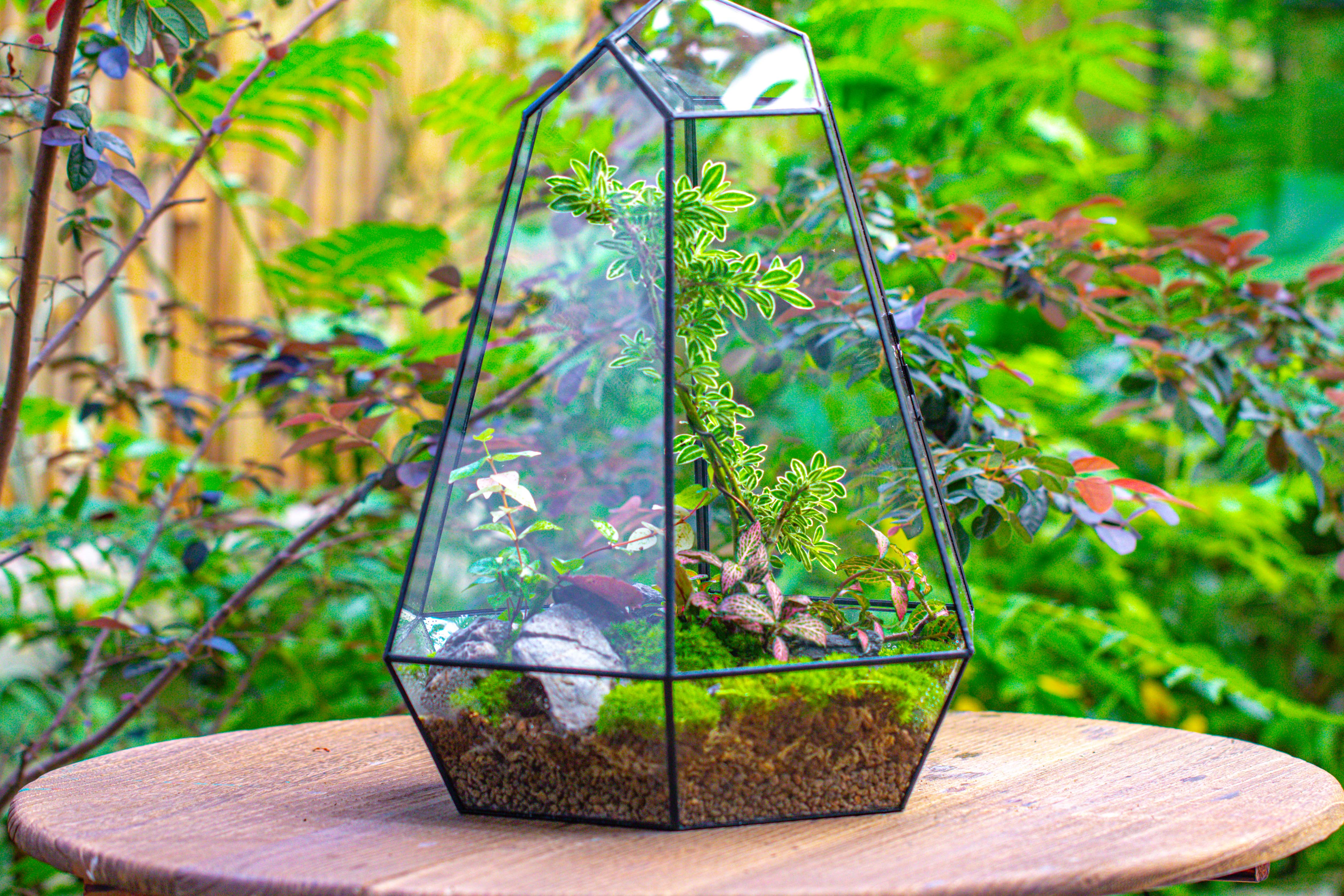 Large 16" tall and wide 6 sided cone tin and glass terrarium, close, with door - NCYPgarden