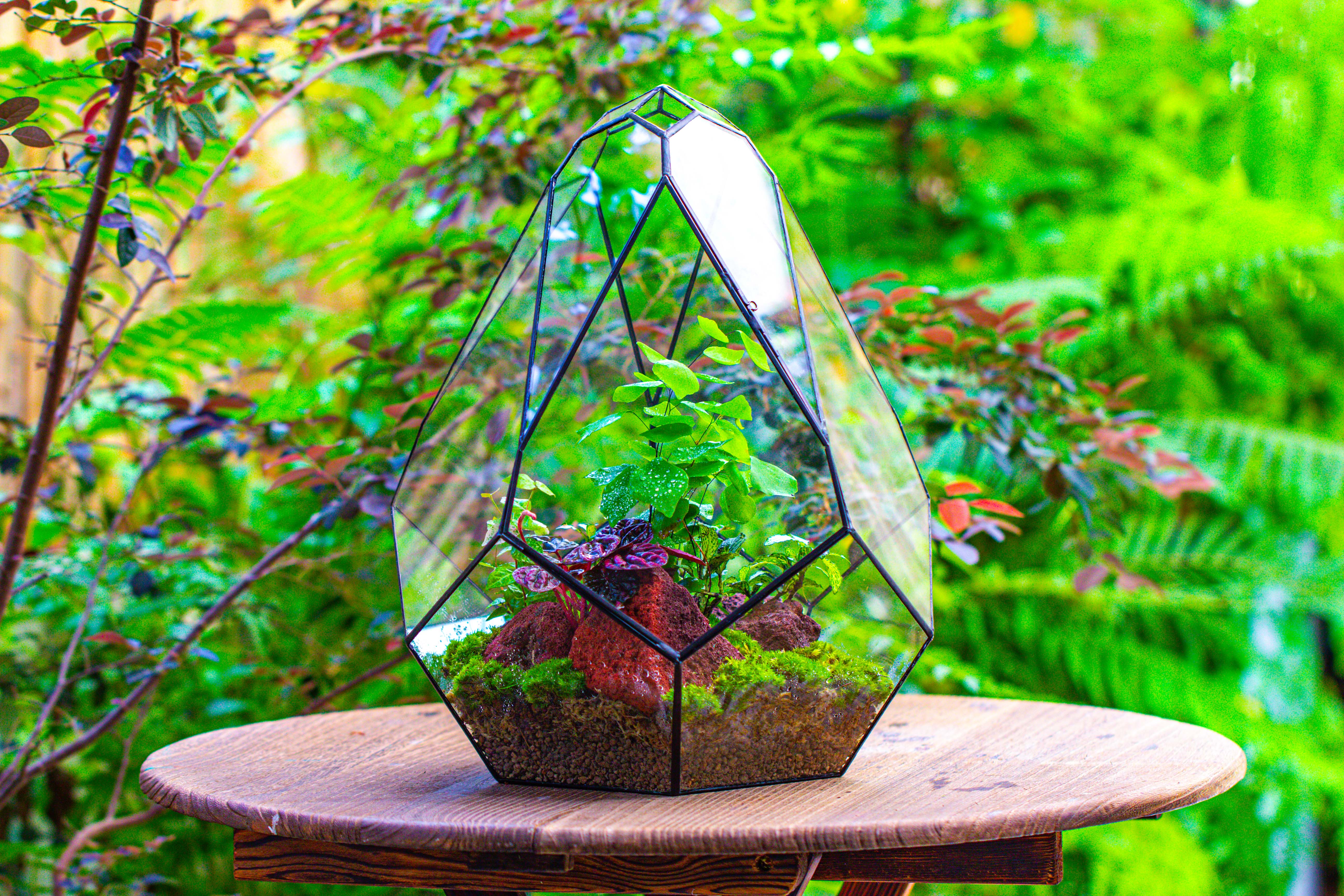 16" Large Teardrop Geometric Terrarium, close - NCYPgarden