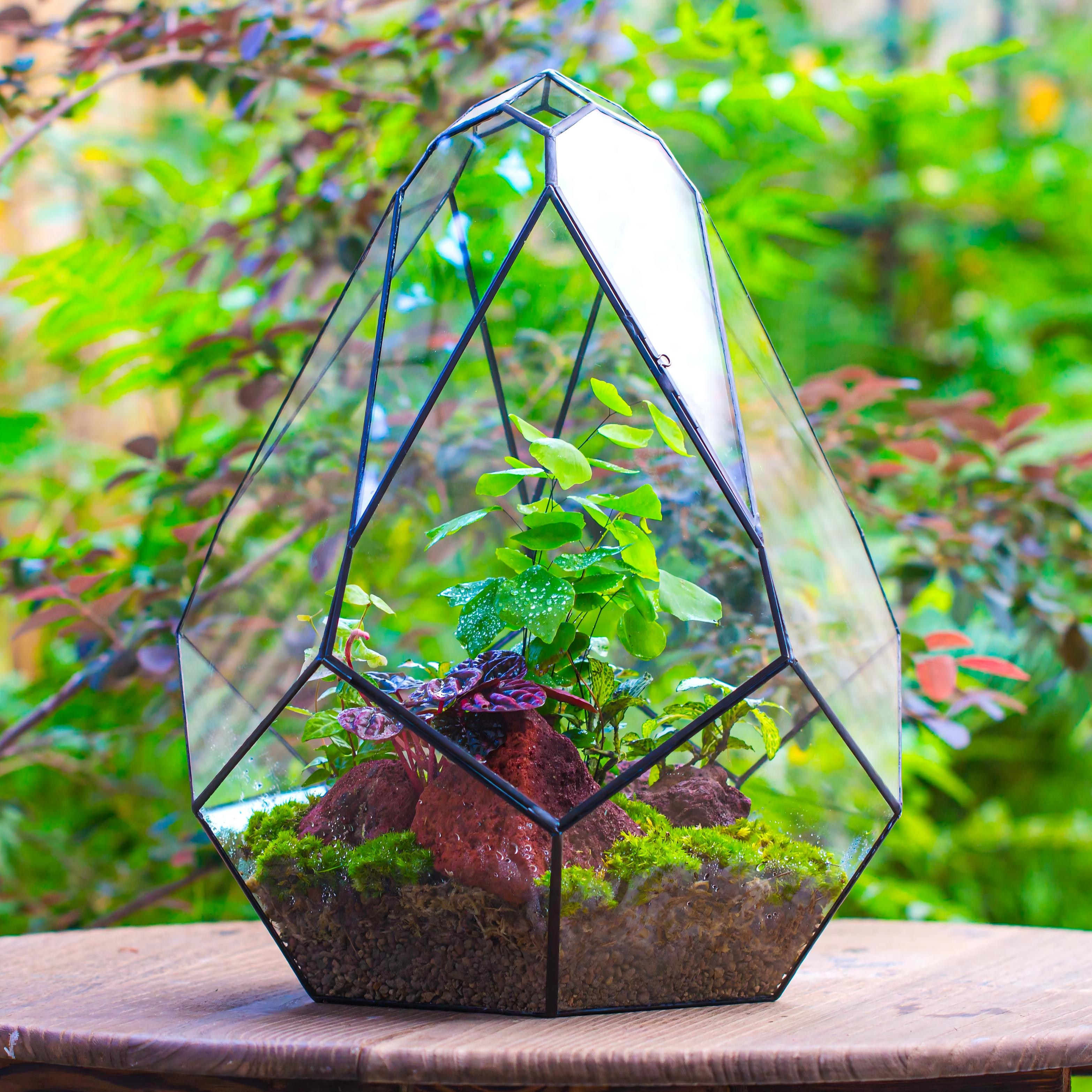 16" Large Teardrop Geometric Terrarium, close - NCYPgarden