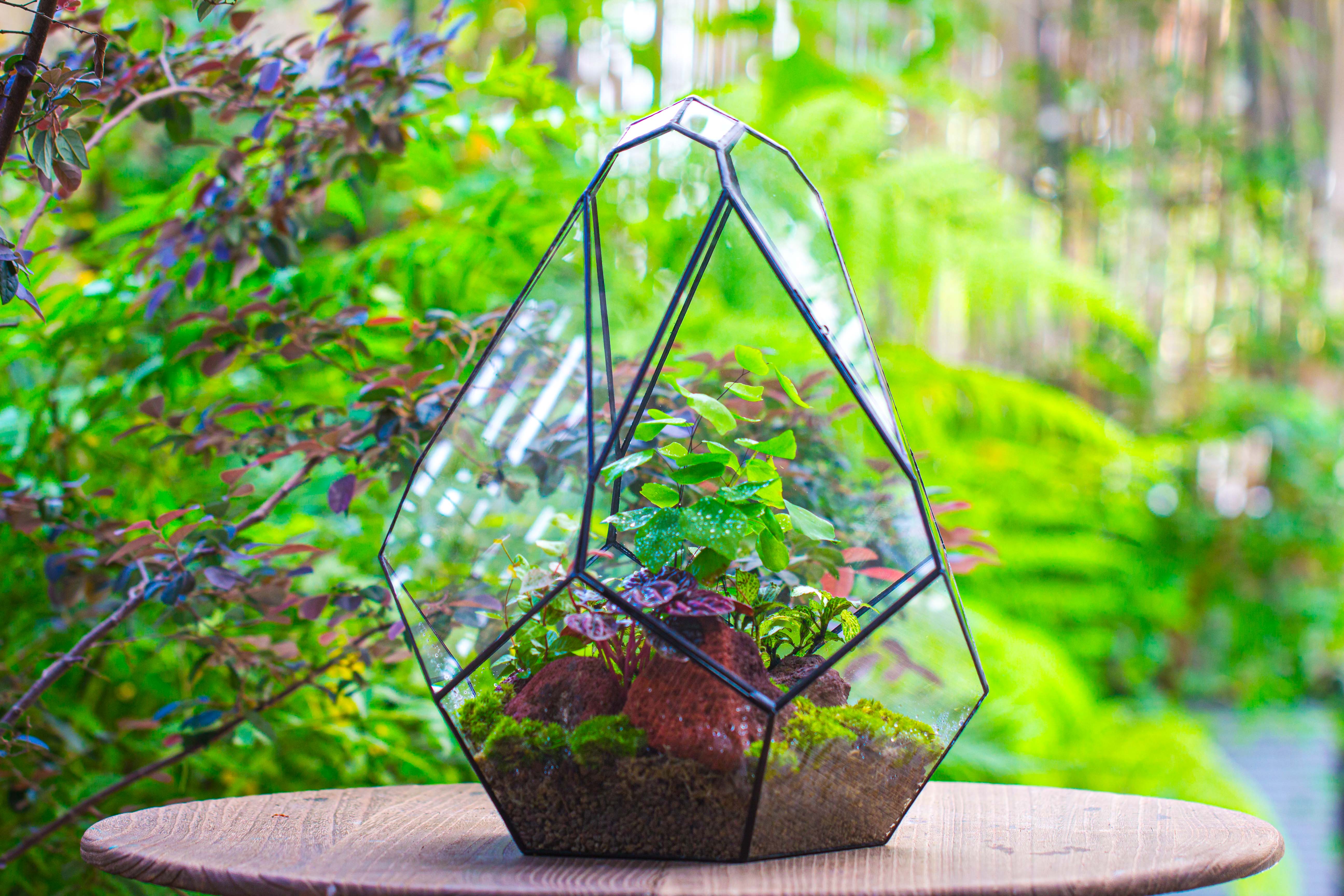 16" Large Teardrop Geometric Terrarium, close - NCYPgarden
